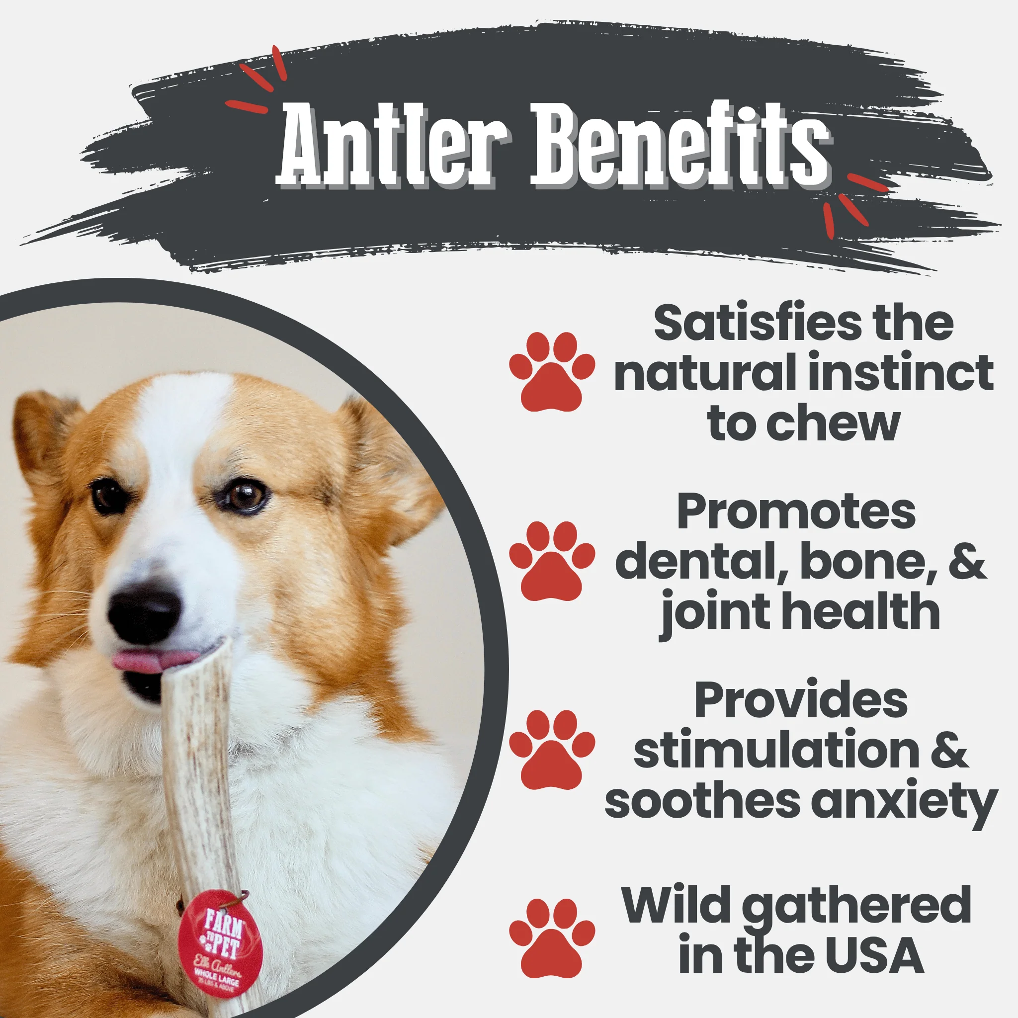Elk Antler Dog Chews | All-Natural Whole and Split Elk Antler Chews for Dogs - Image 43