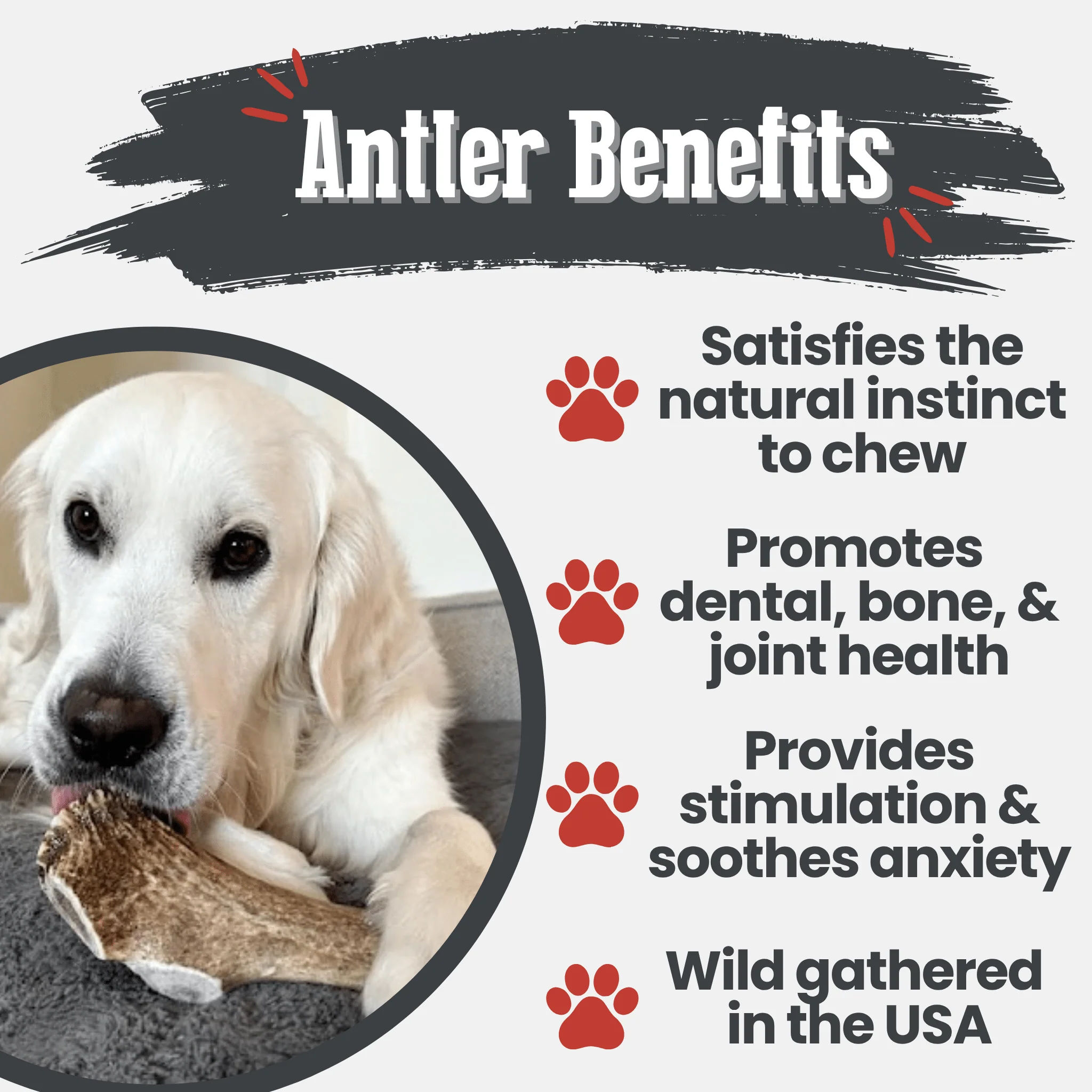 Elk Antler Dog Chews | All-Natural Whole and Split Elk Antler Chews for Dogs - Image 50