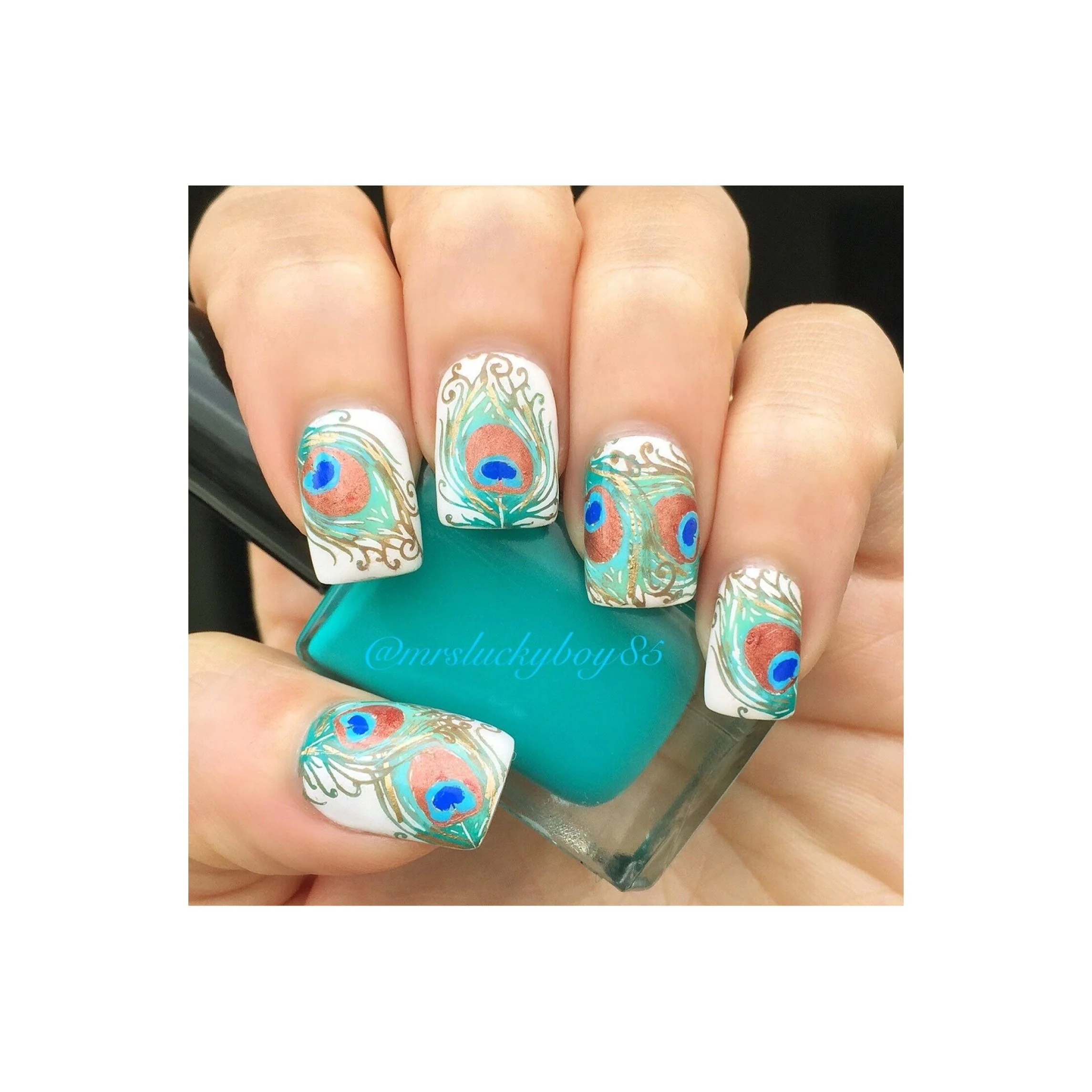 Fabulous Feathers - Image 3