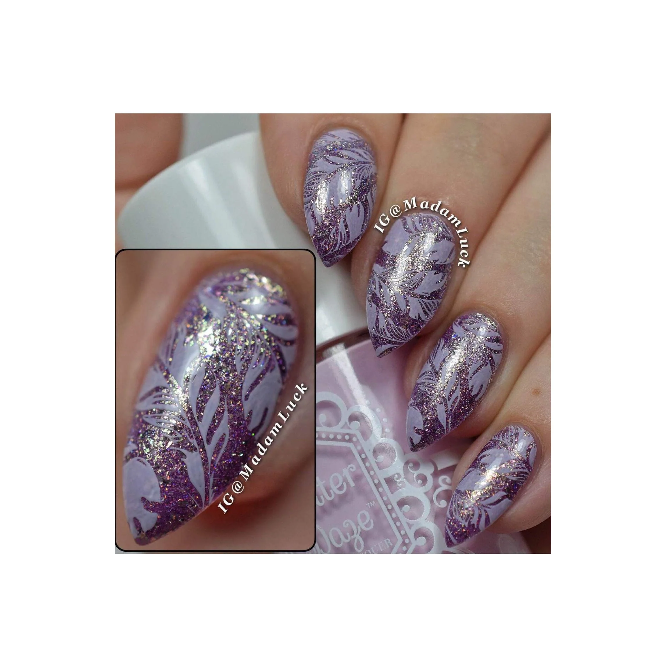 Fabulous Feathers - Image 5