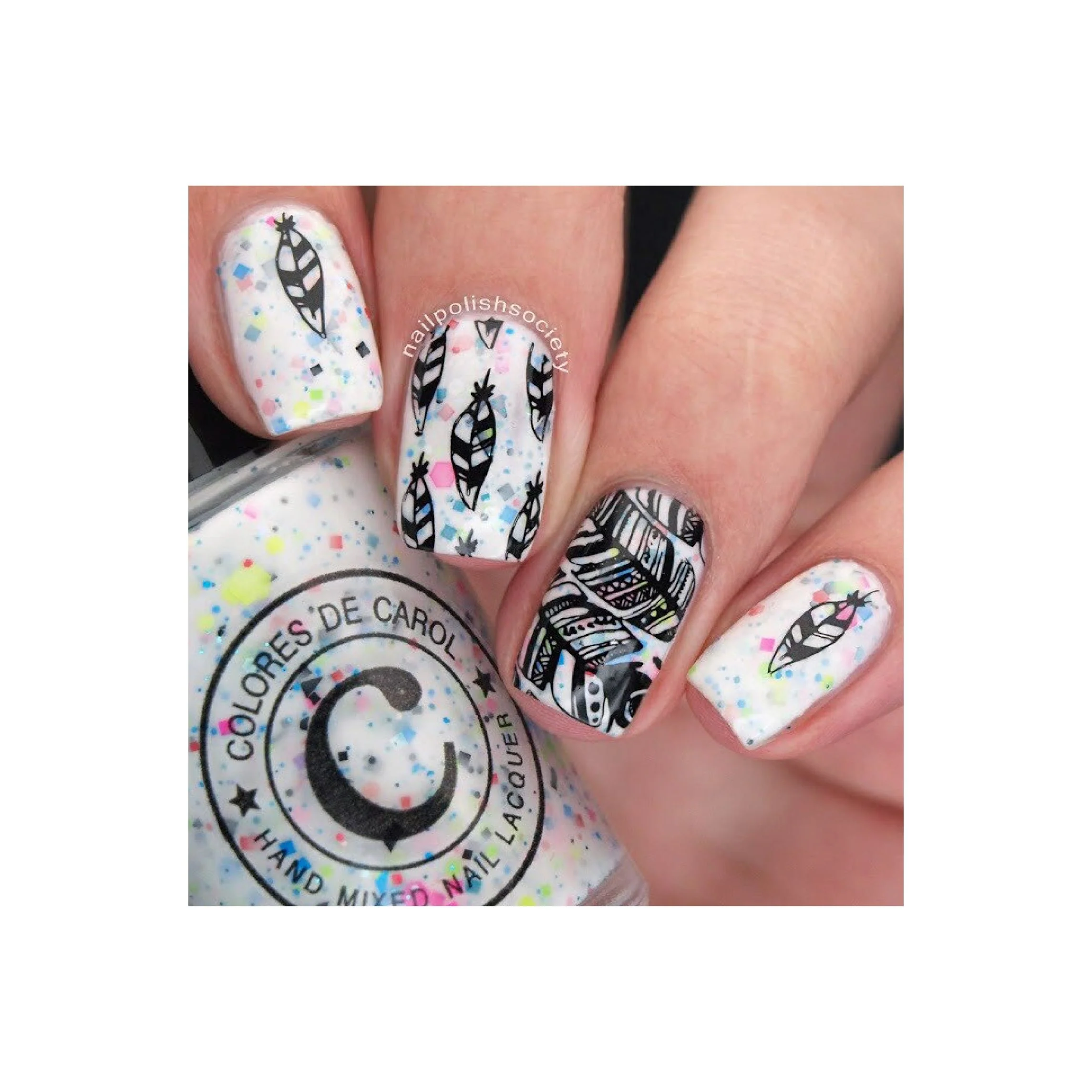 Fabulous Feathers - Image 7
