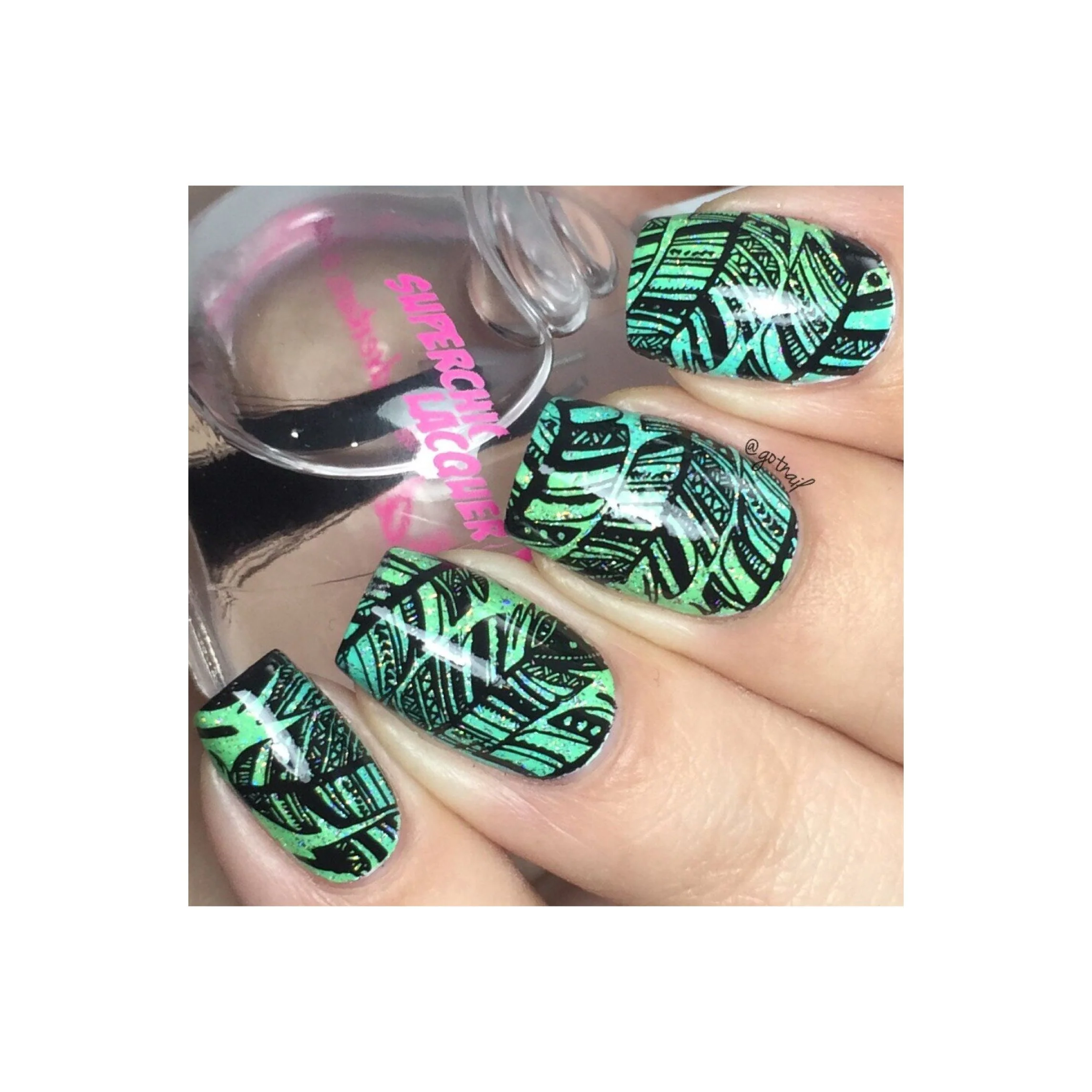 Fabulous Feathers - Image 9