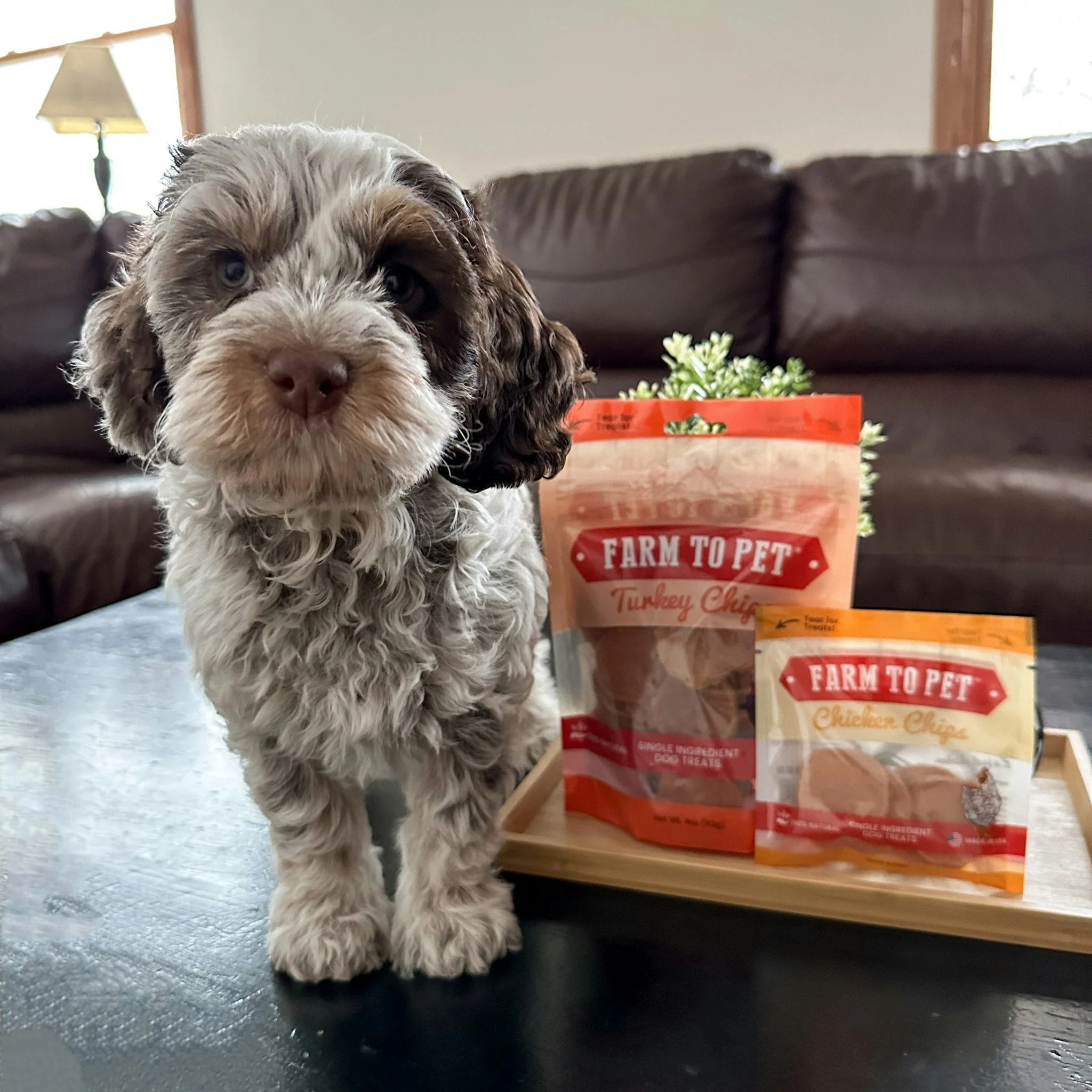 Farm to Pet E-Gift Card - Image 4