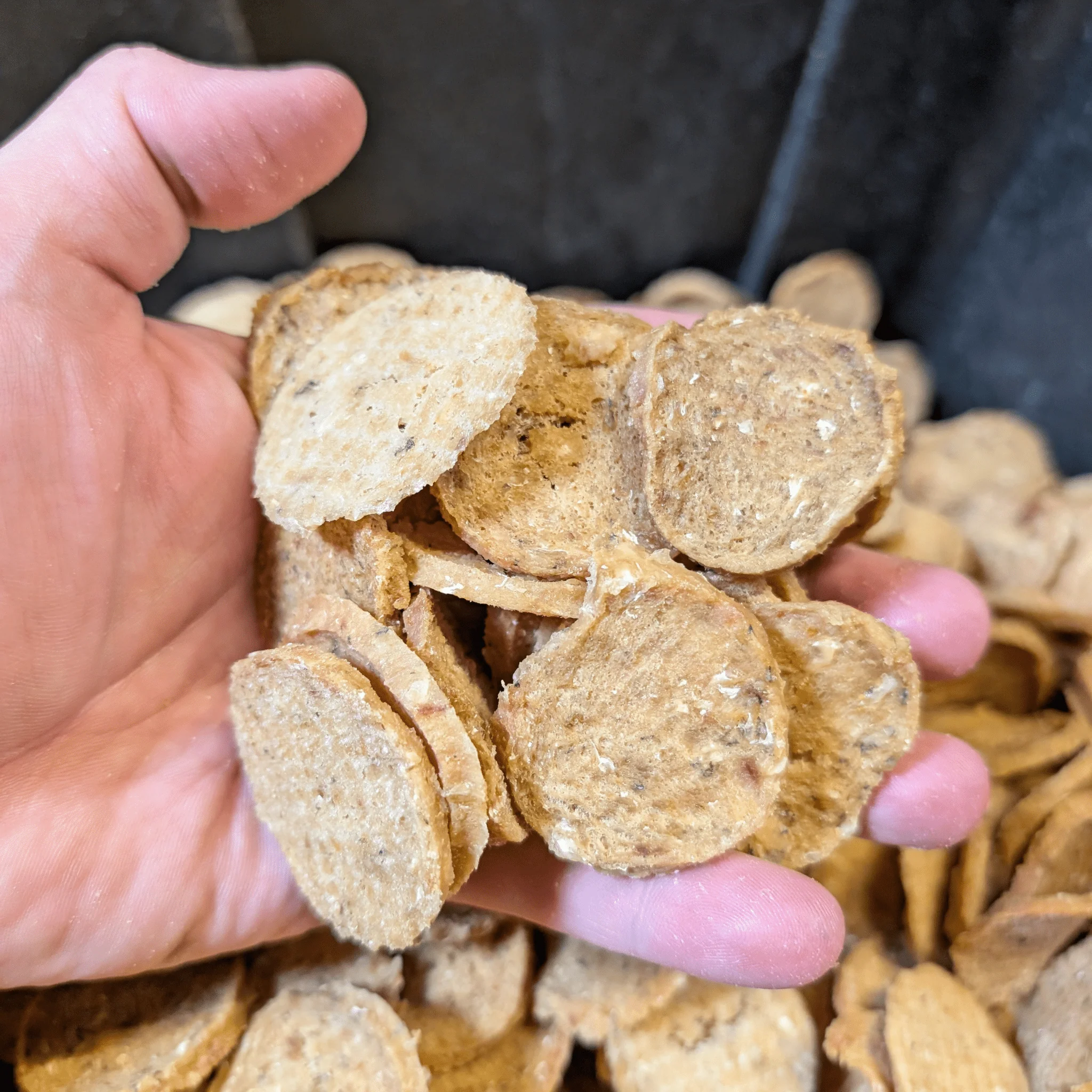 Fish Chips for Dogs | Wild-Caught Fish Dog Treats - Image 11