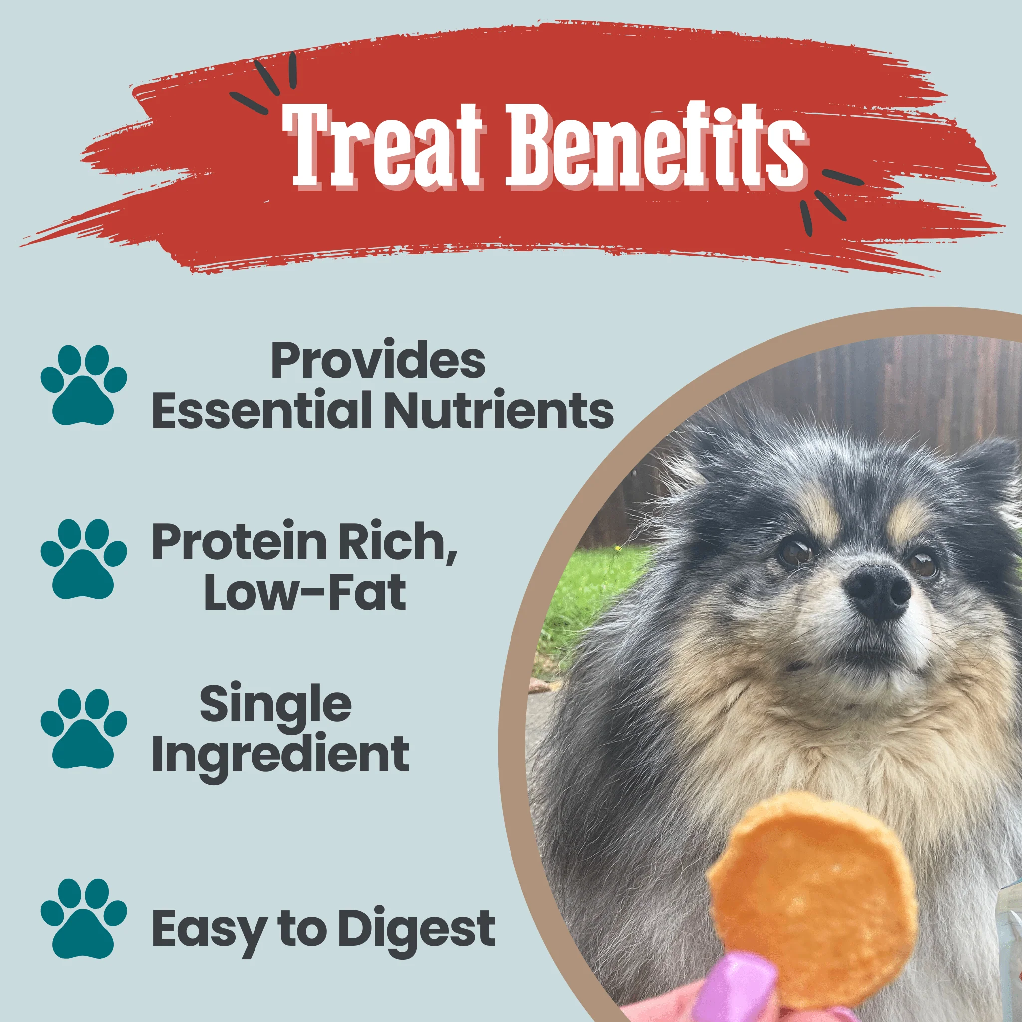 Fish Chips Snack Pack Bundles | Dog Treats for Training & Travel - Image 8