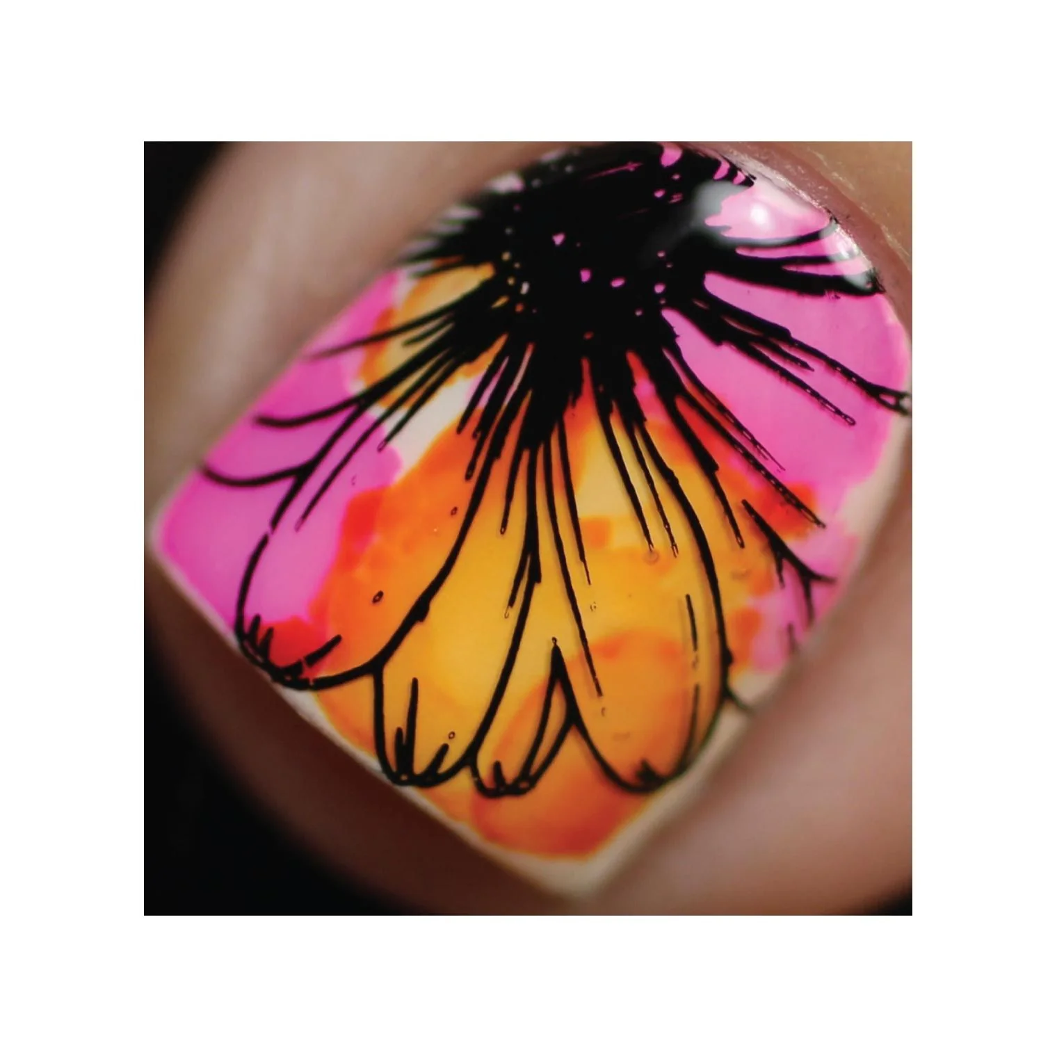 Flora & Fauna - Image 10