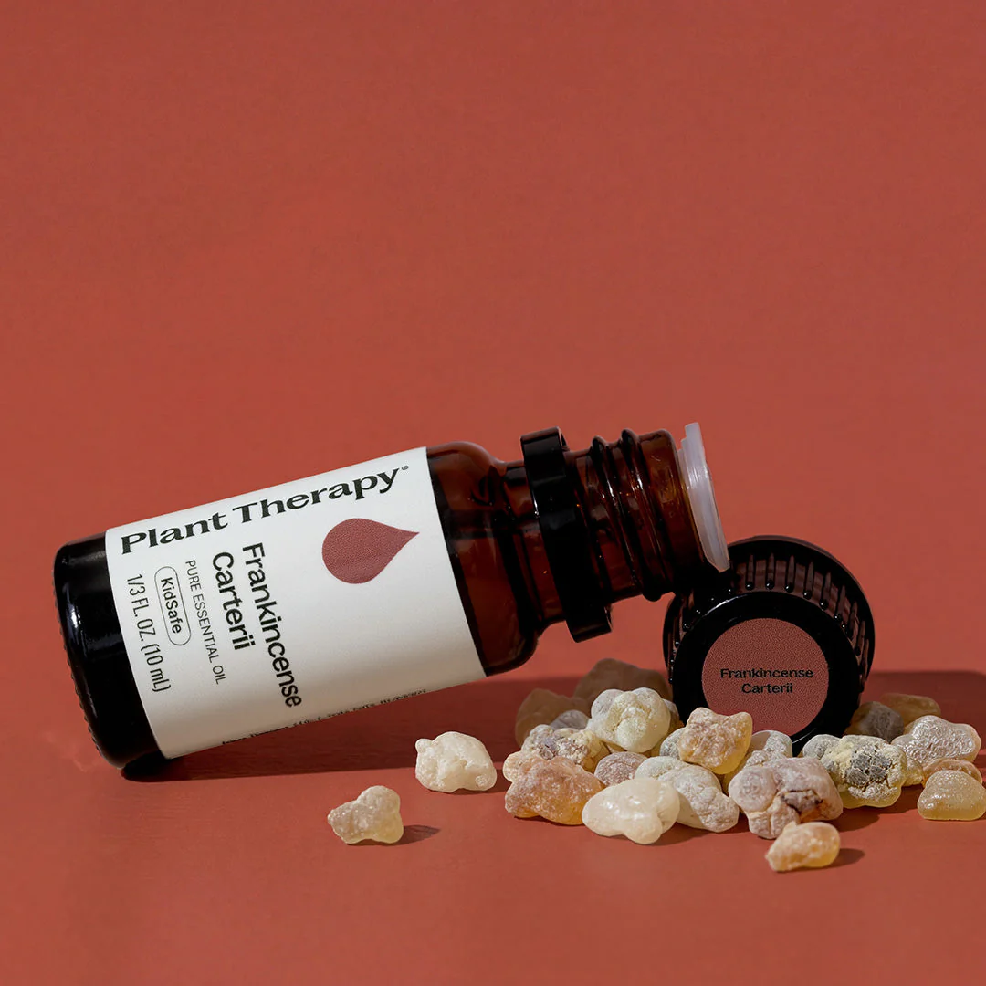 Frankincense Carterii Essential Oil - Image 4