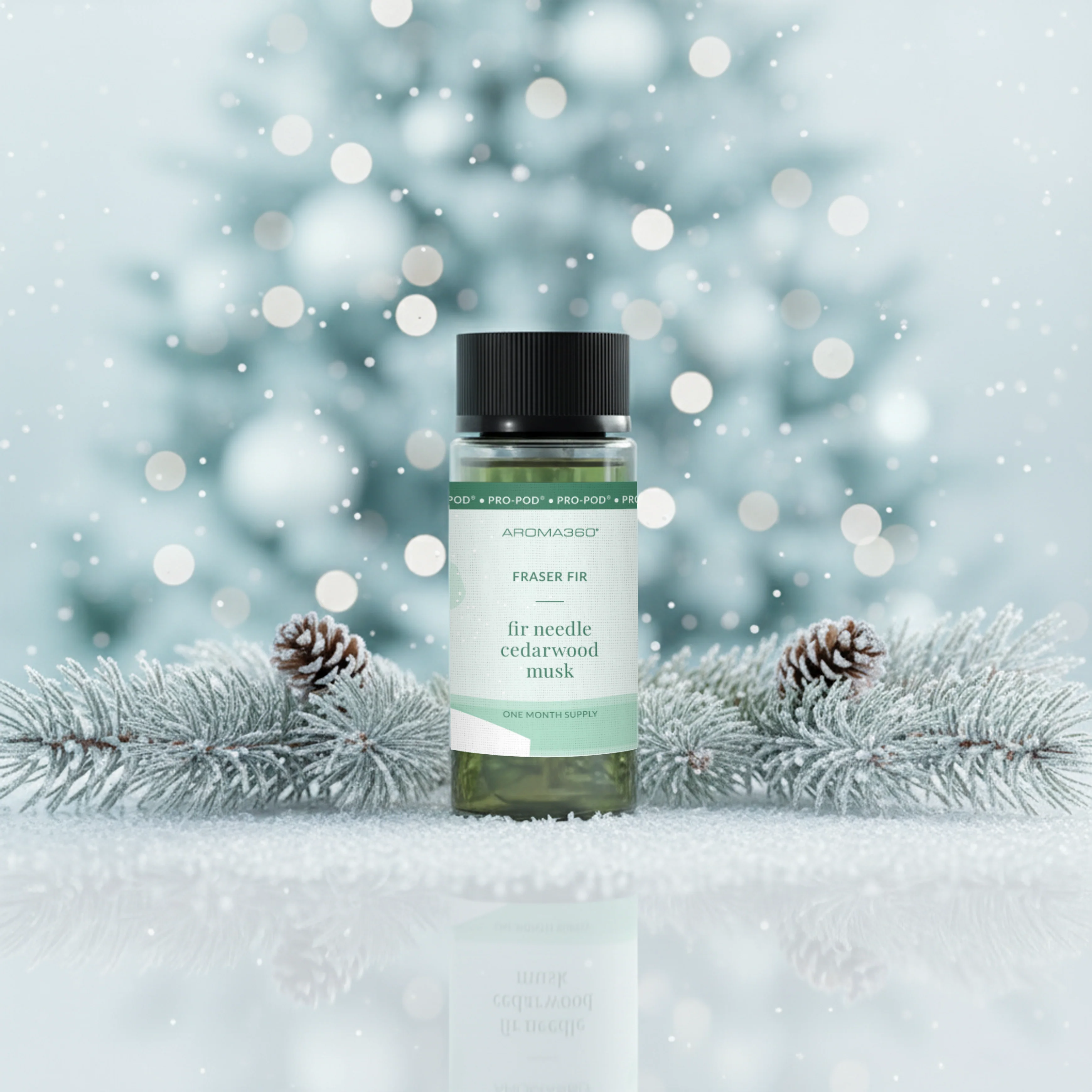 Fraser Fir - Image 2