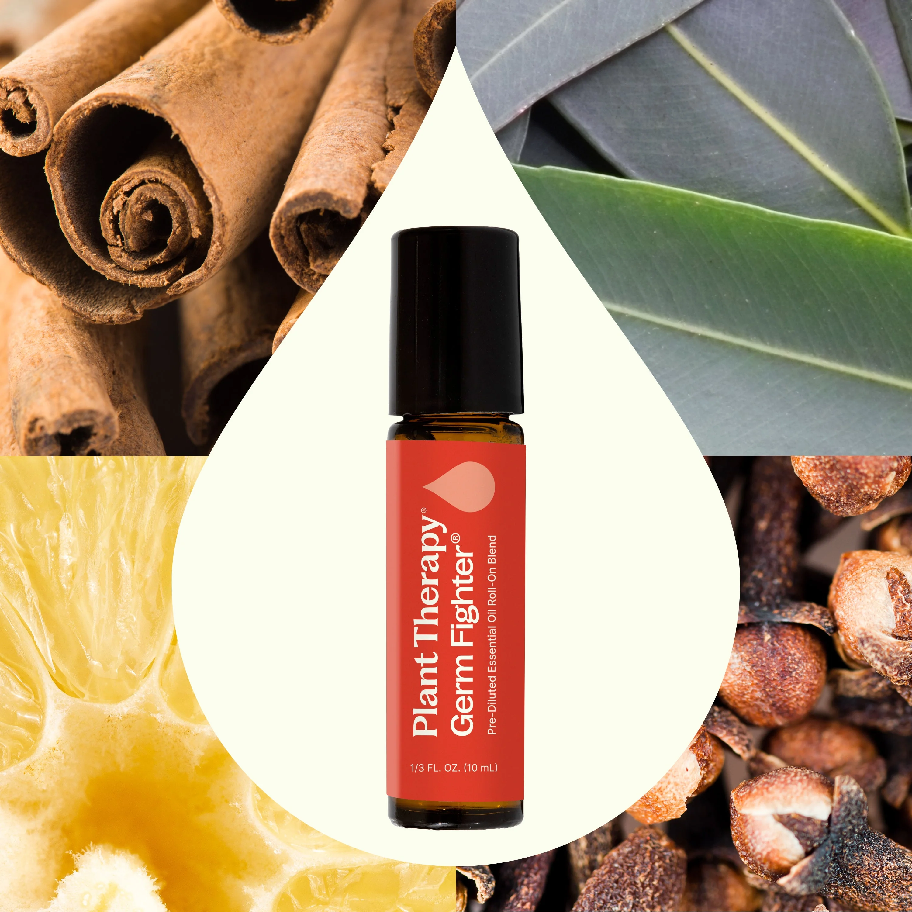 Germ Fighter Essential Oil Blend Pre-Diluted Roll-On - Image 2