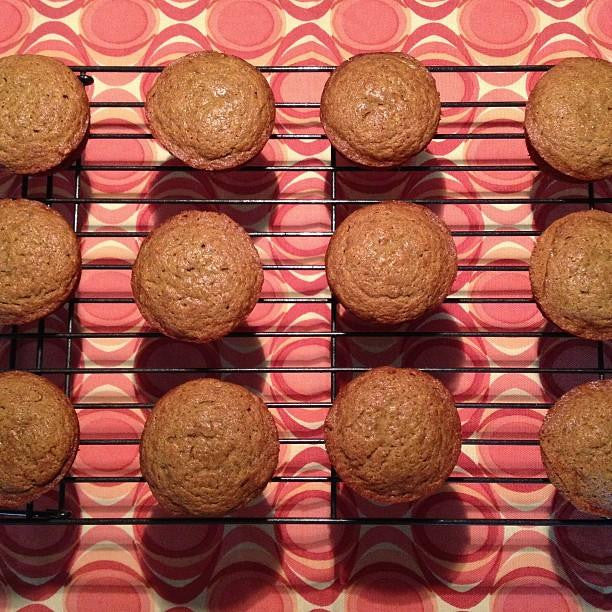 gfJules Gluten Free Muffin Mix - Image 13