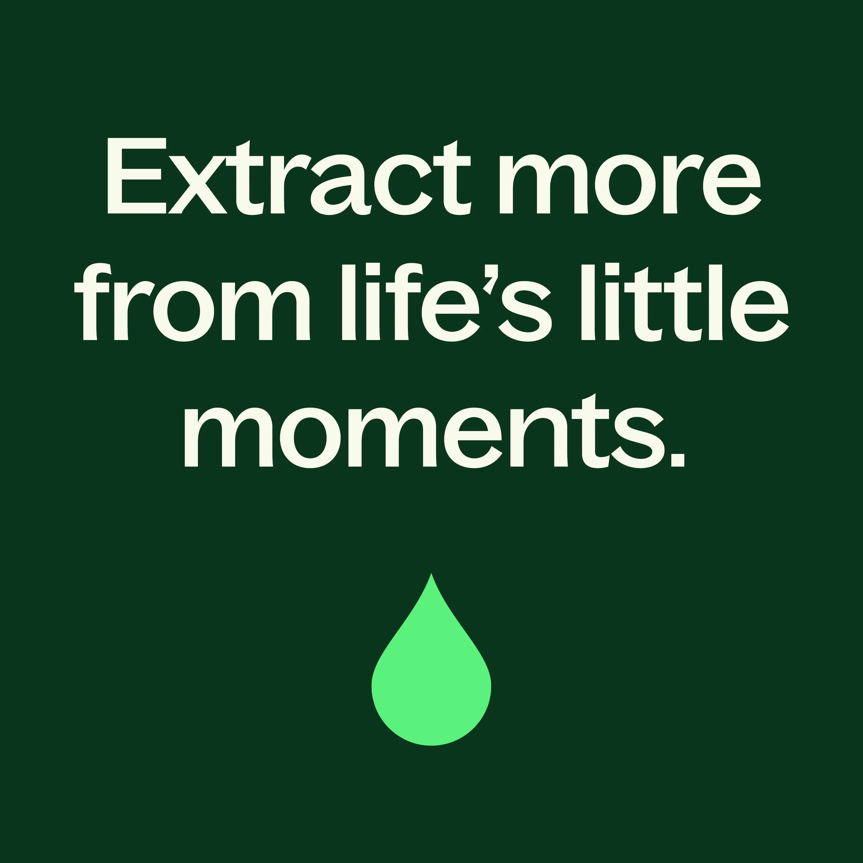 Ginger Essential Oil - Image 7