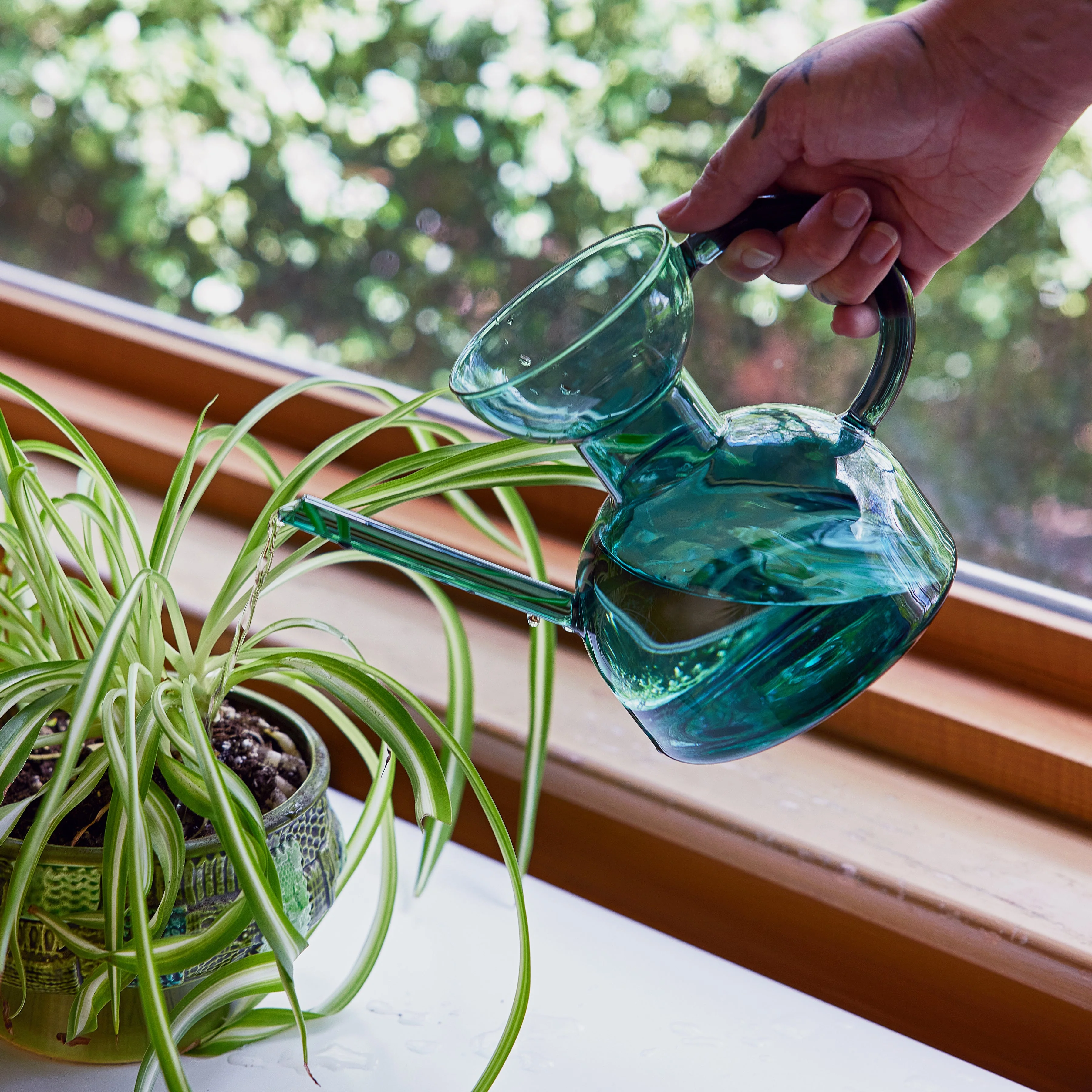 Glass Watering Can - Image 5