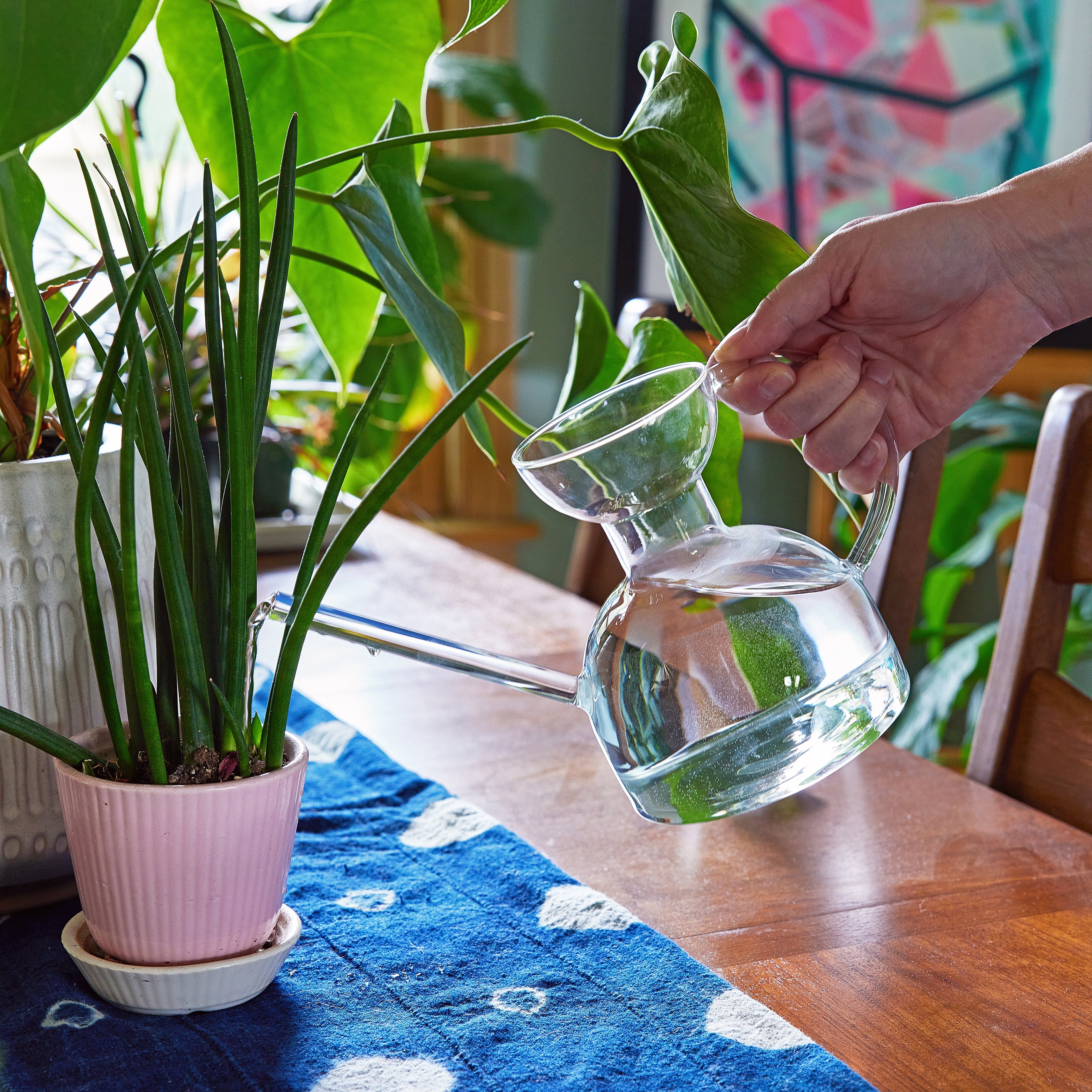 Glass Watering Can - Image 7
