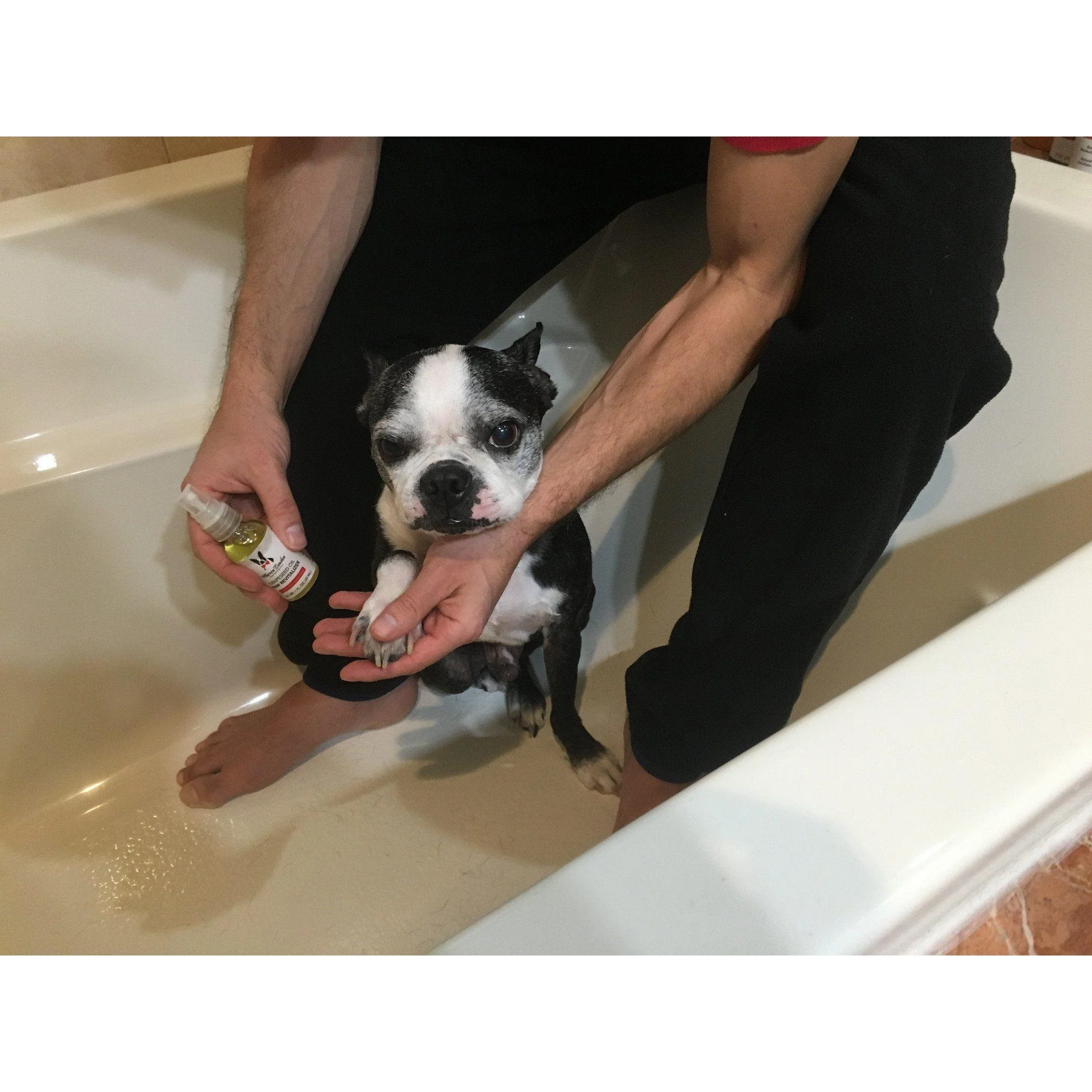 Grapeseed Oil Paw & Nose Revitalizer - Image 7
