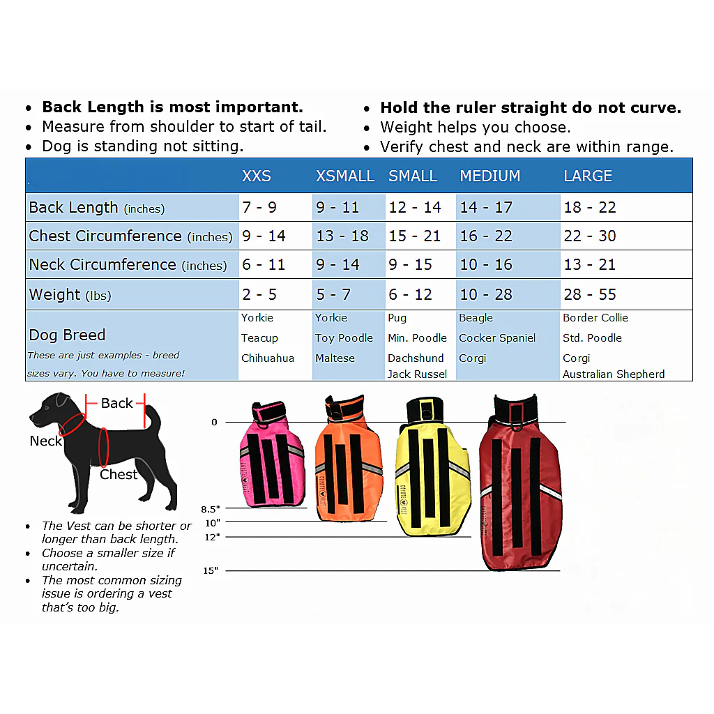 HawkVest - Image 5