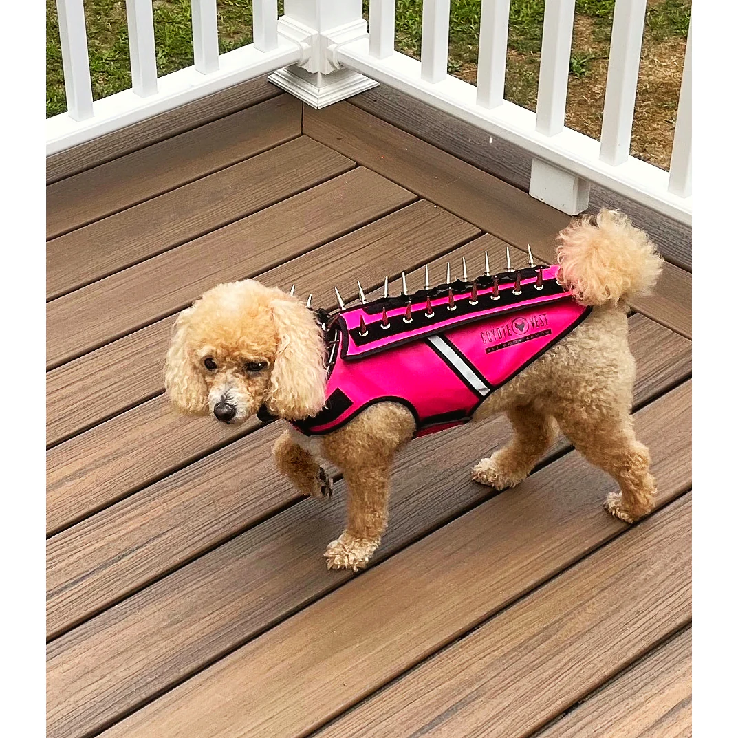 HawkVest - Image 6