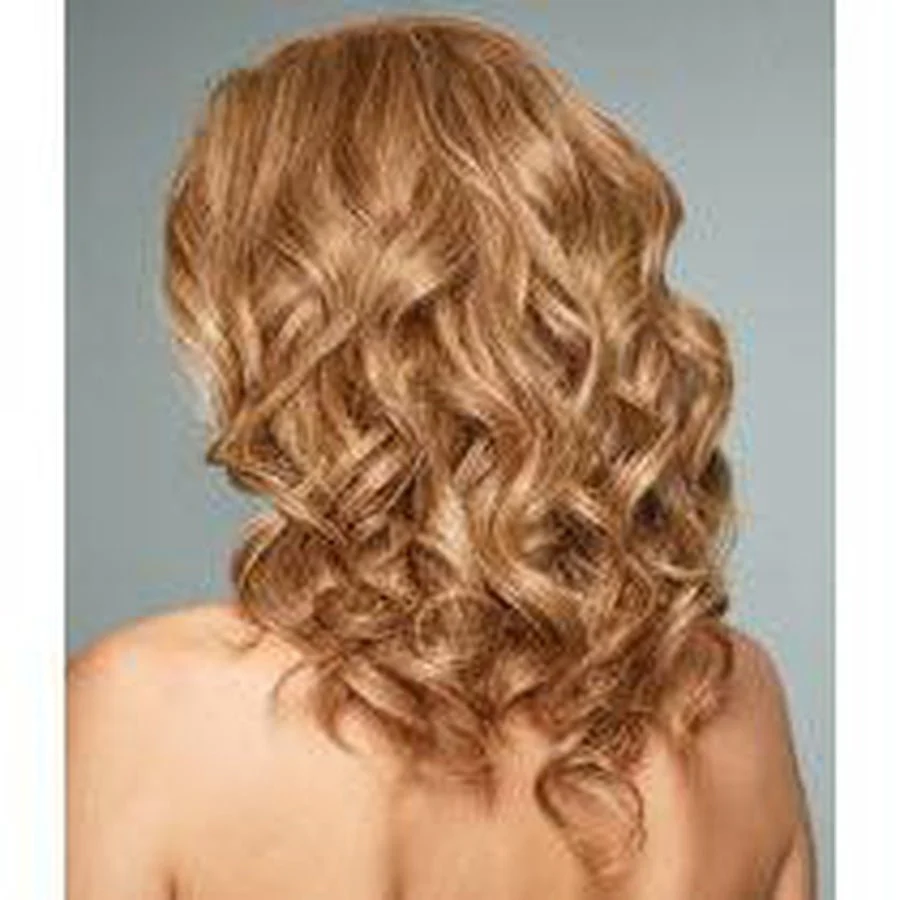 HIGH FASHION - Wig by Raquel Welch - 100% Human Hair - Image 5