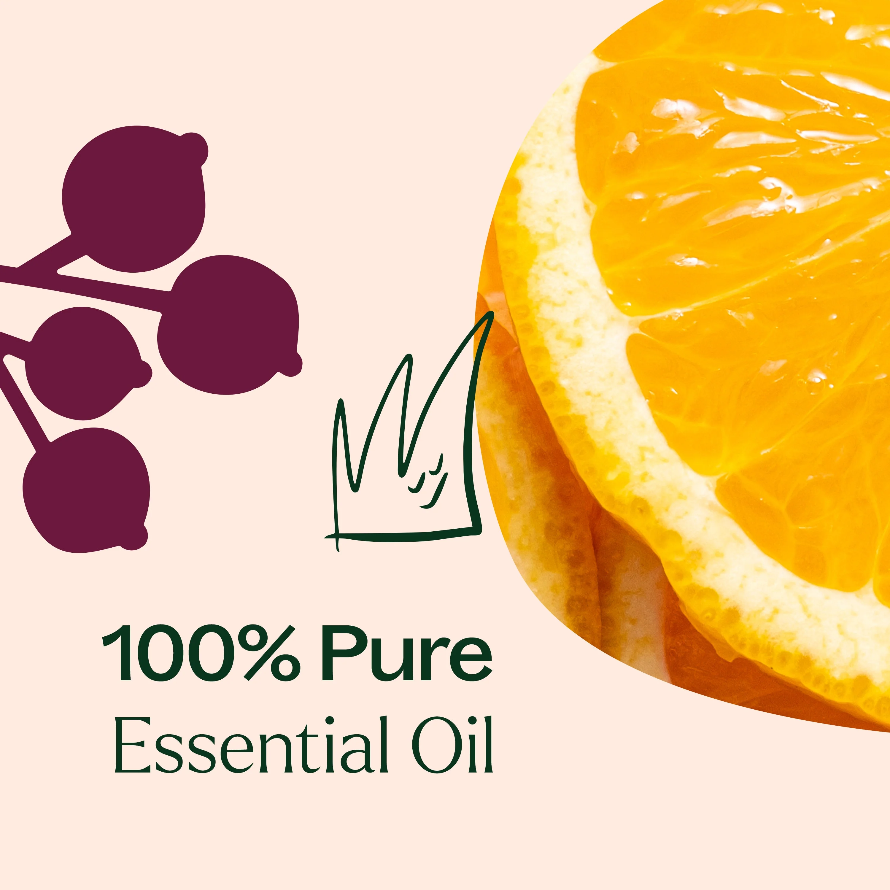 Holiday Season Essential Oil Blend - Image 9