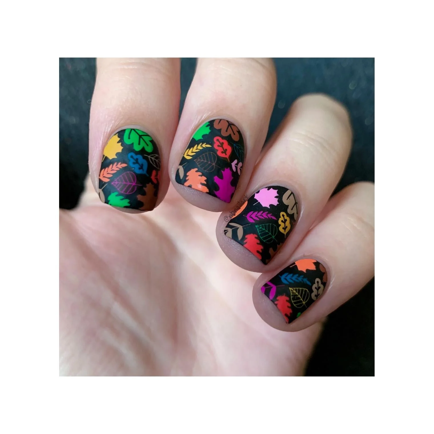I Always Fall For Autumn - Image 19