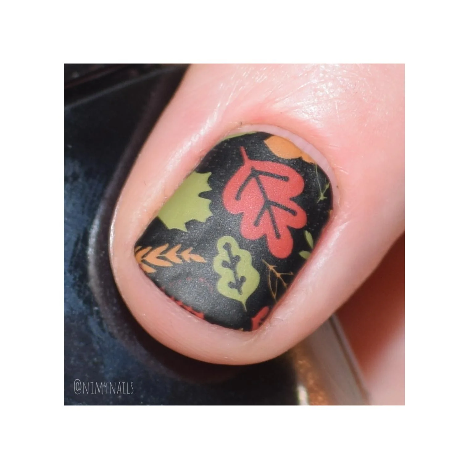 I Always Fall For Autumn - Image 27