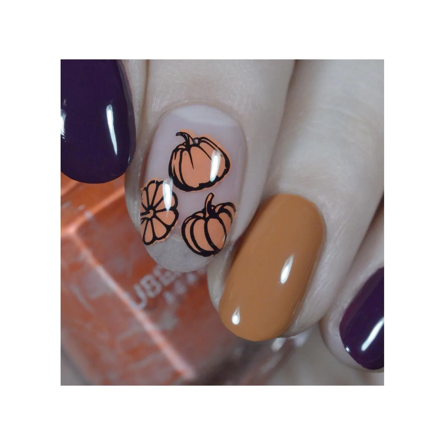 I Always Fall For Autumn - Image 29