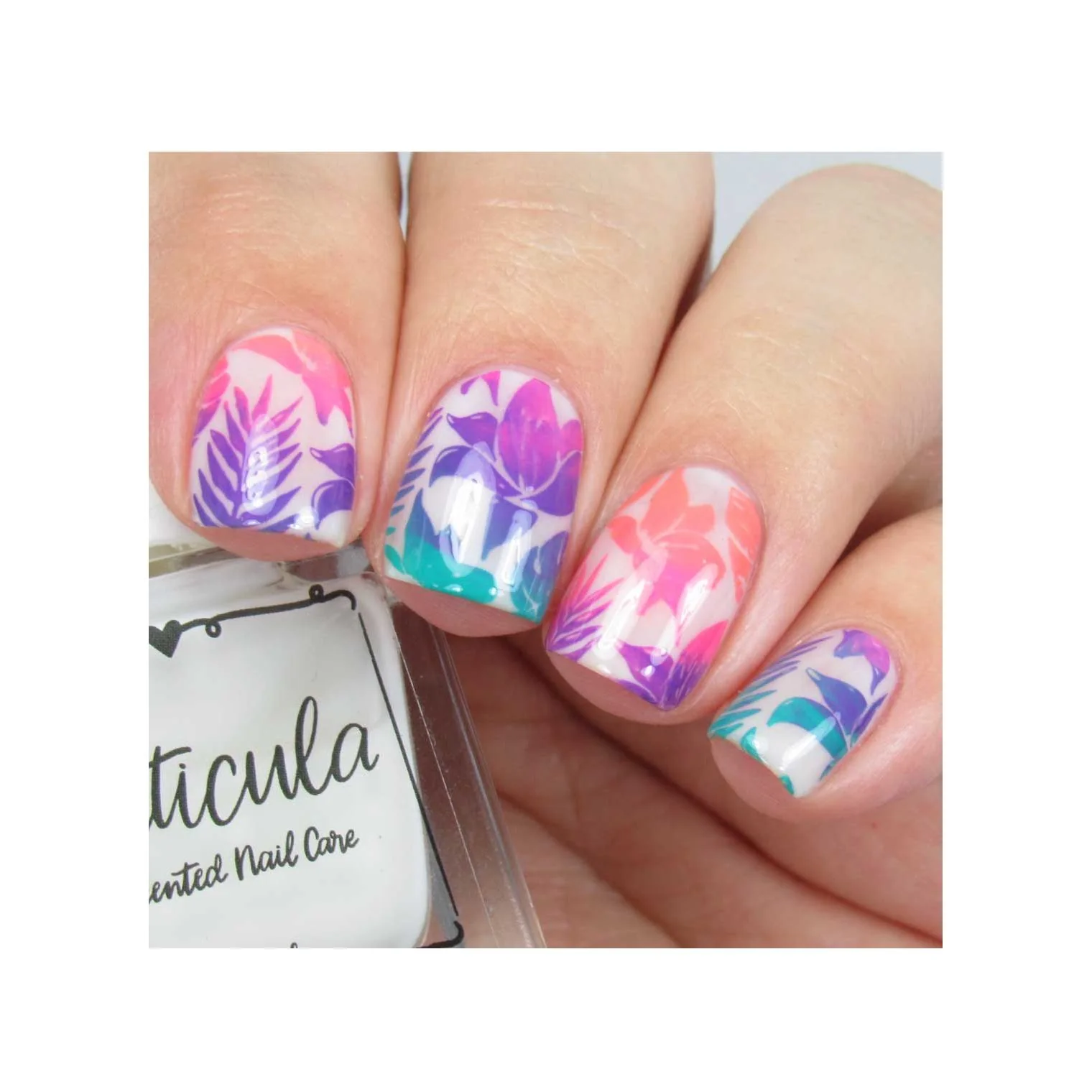 Just Beachy - Image 8
