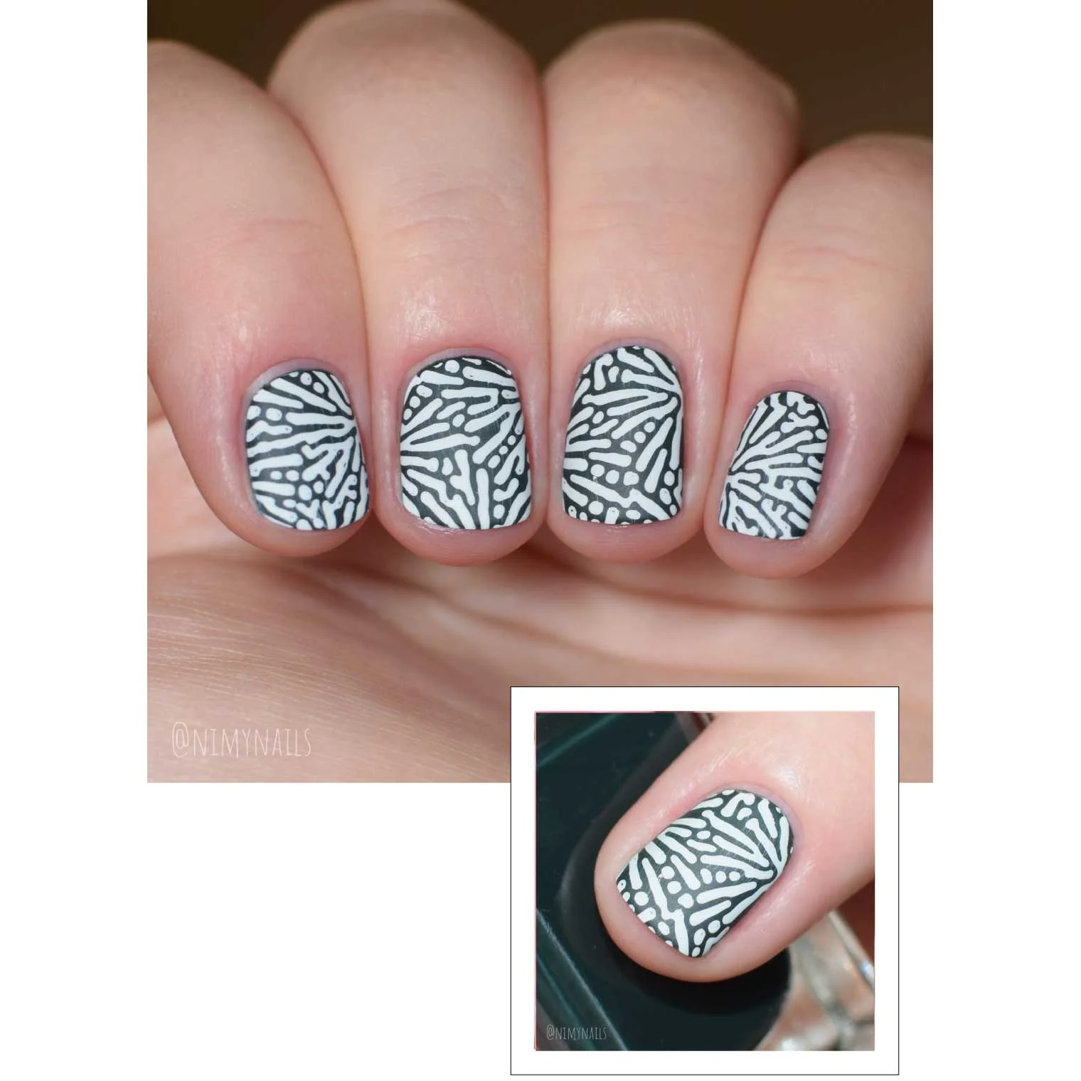 Just for CLAWS Collection-02 - Image 10