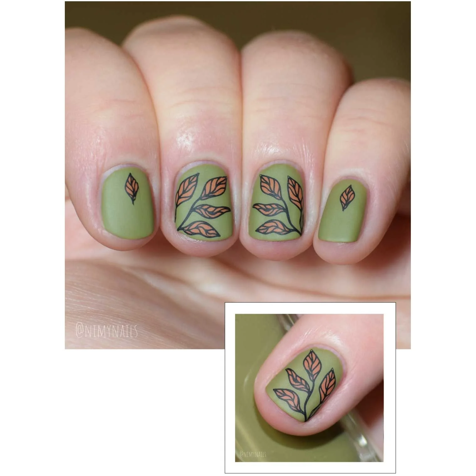 Just for CLAWS Collection-02 - Image 12