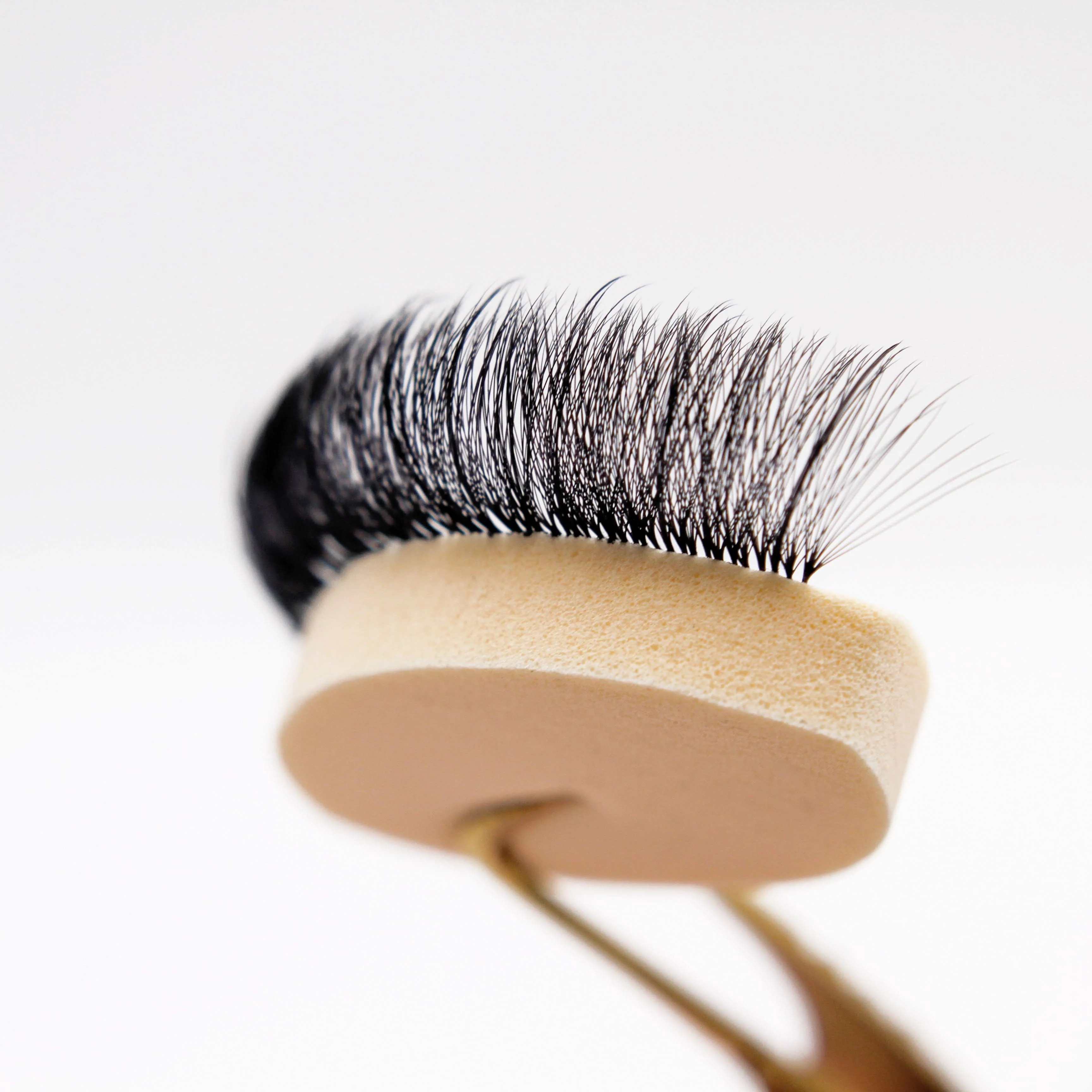 Lash Practice Sponges - 25 pcs - Image 2