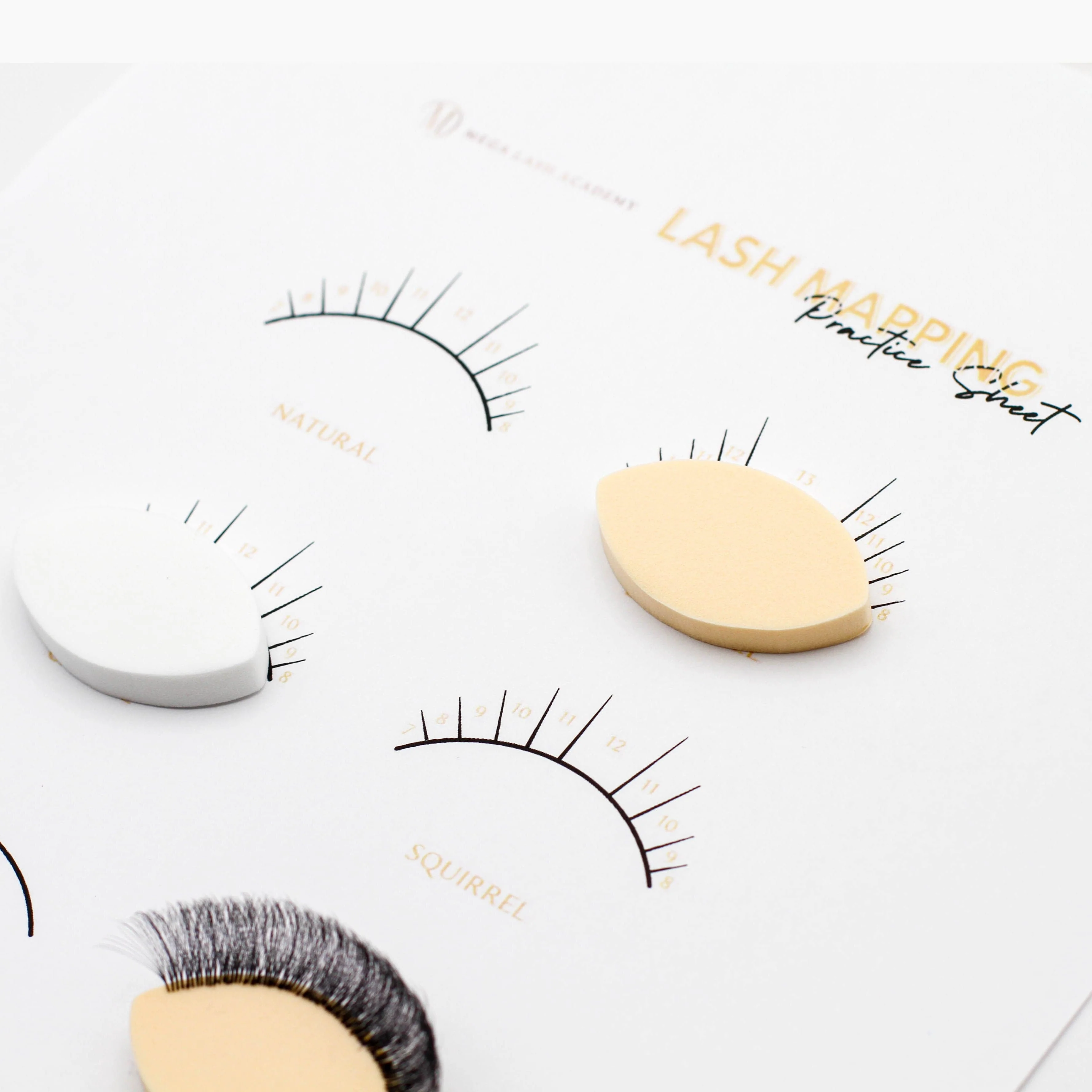 Lash Practice Sponges - 25 pcs - Image 9