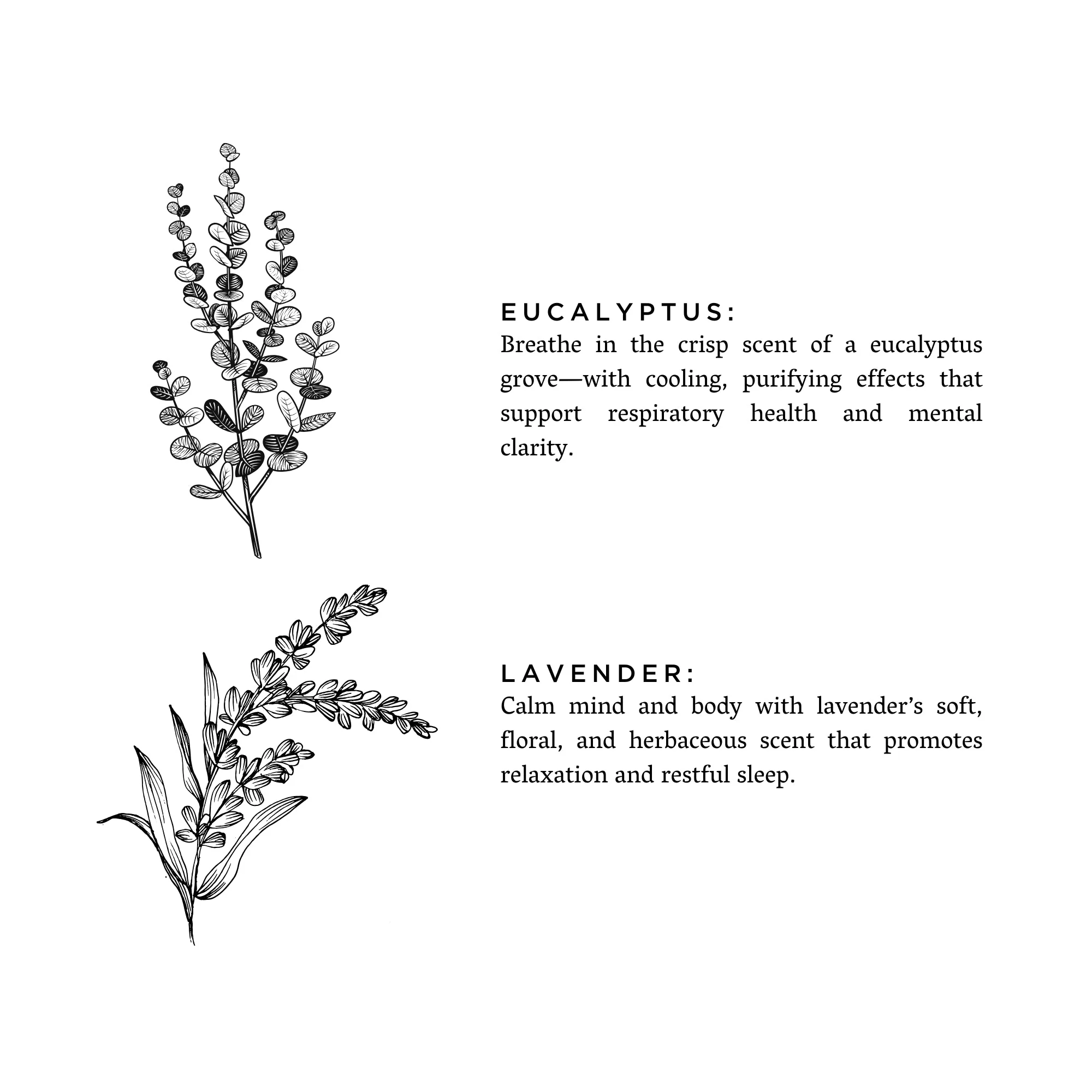 Laundry Powder - Eucalyptus + Lavender - Image 2