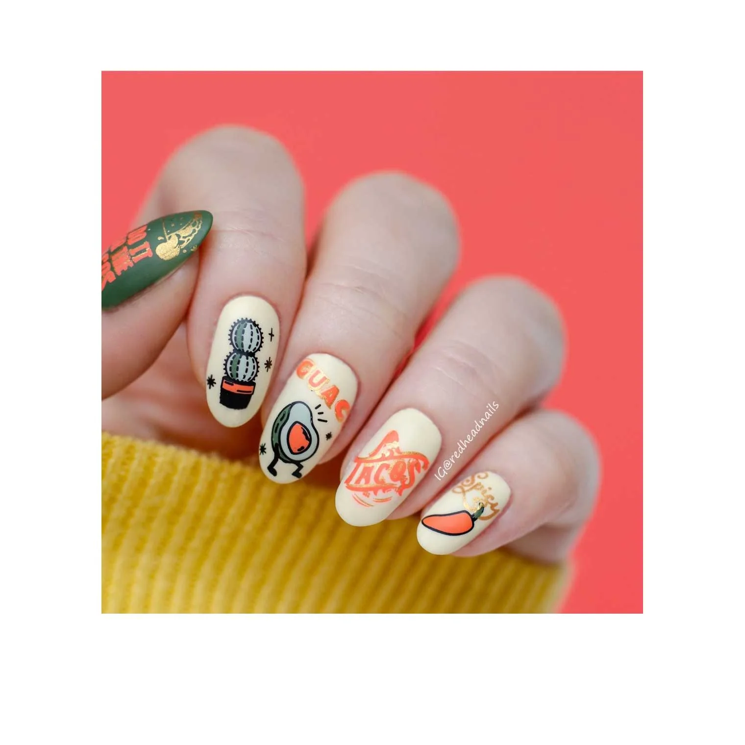 Let's Taco Bout It - Image 14