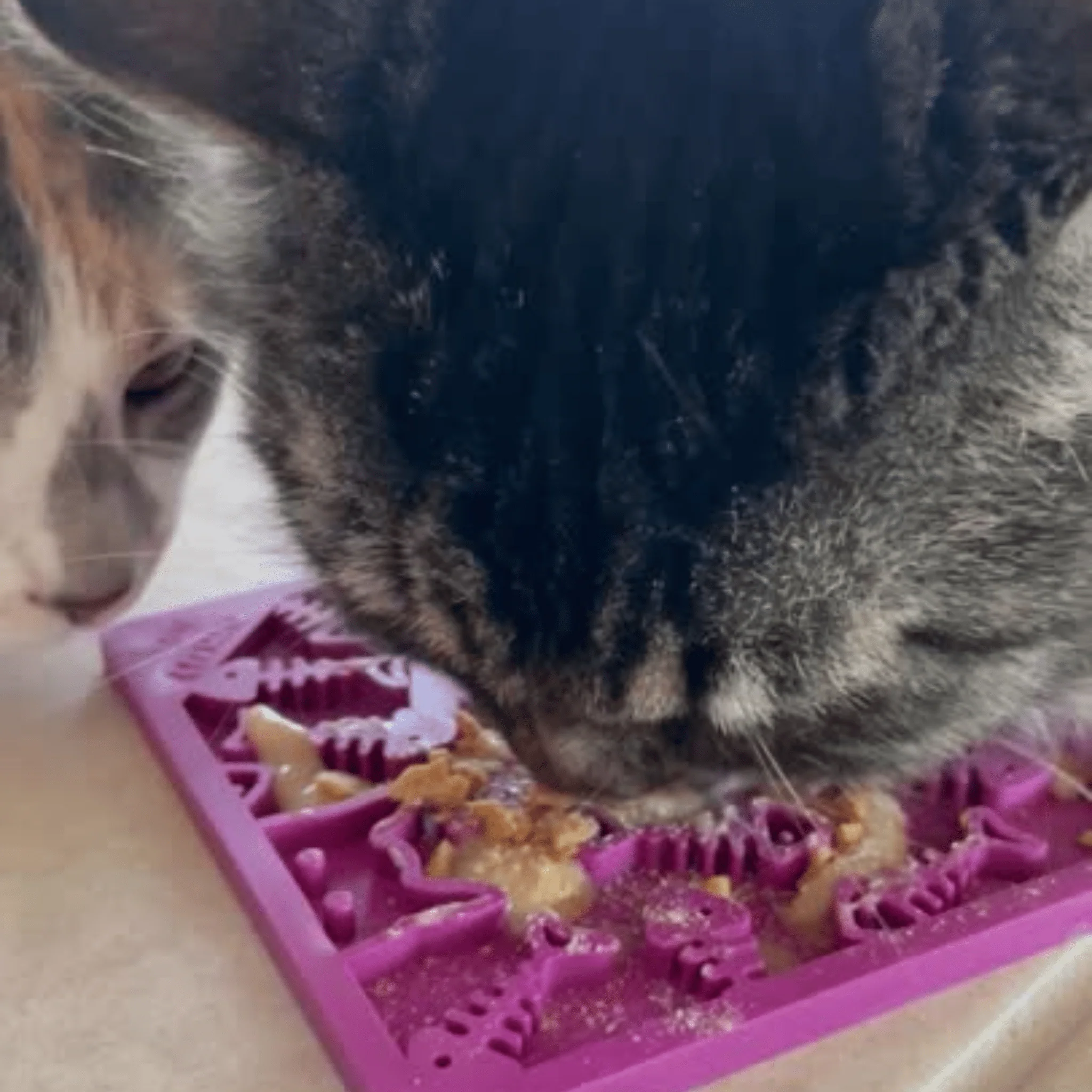 Lick Mats for Cats and Small Dogs - Image 7