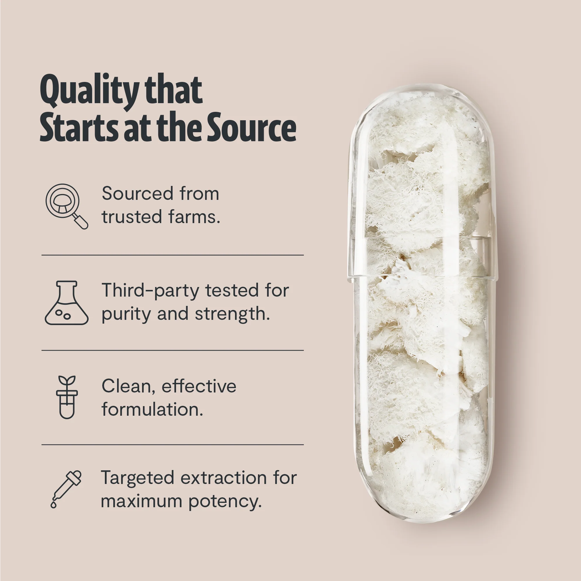 Organic Lion’s Mane Capsules - Image 12