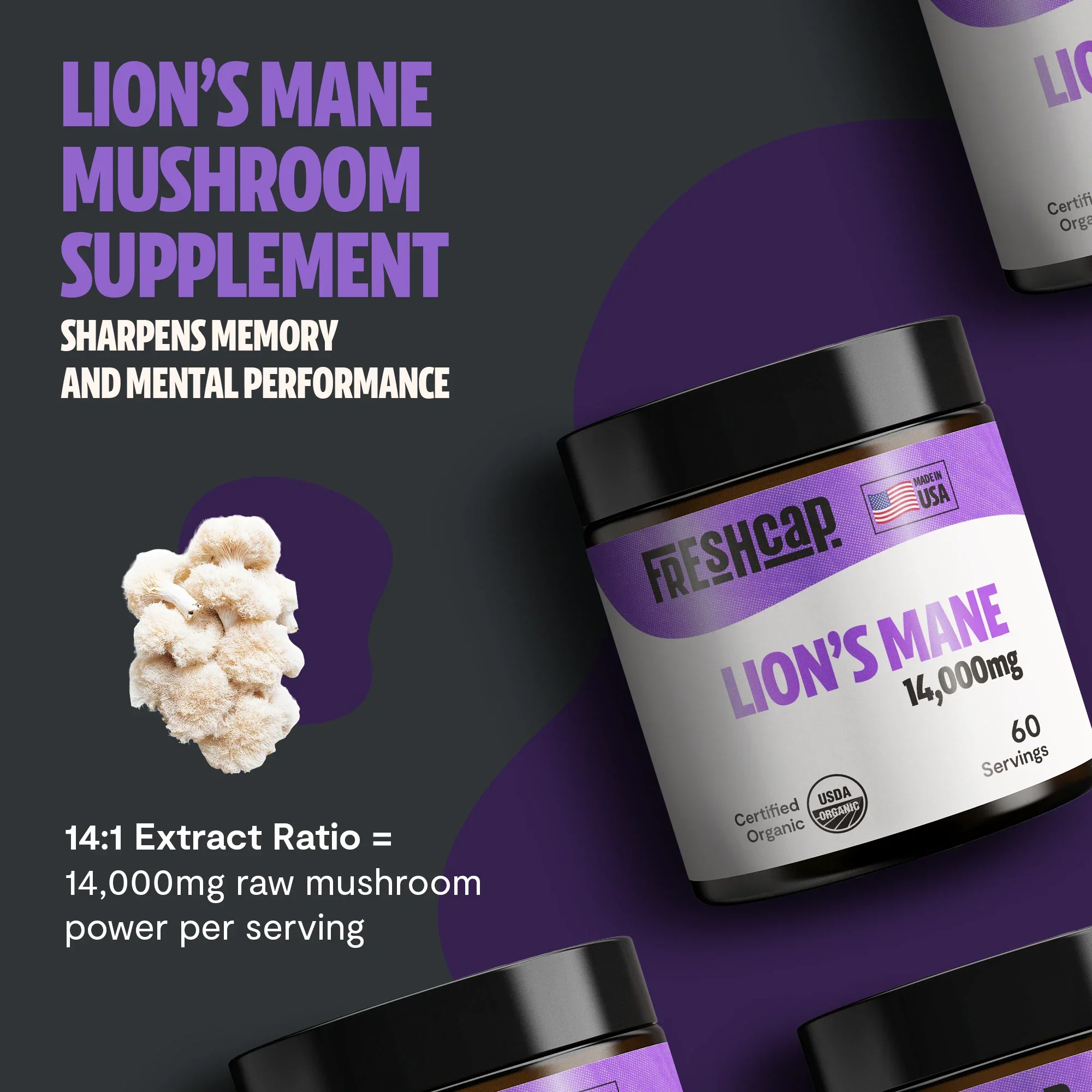 Organic Lion’s Mane Mushroom Powder - Image 11