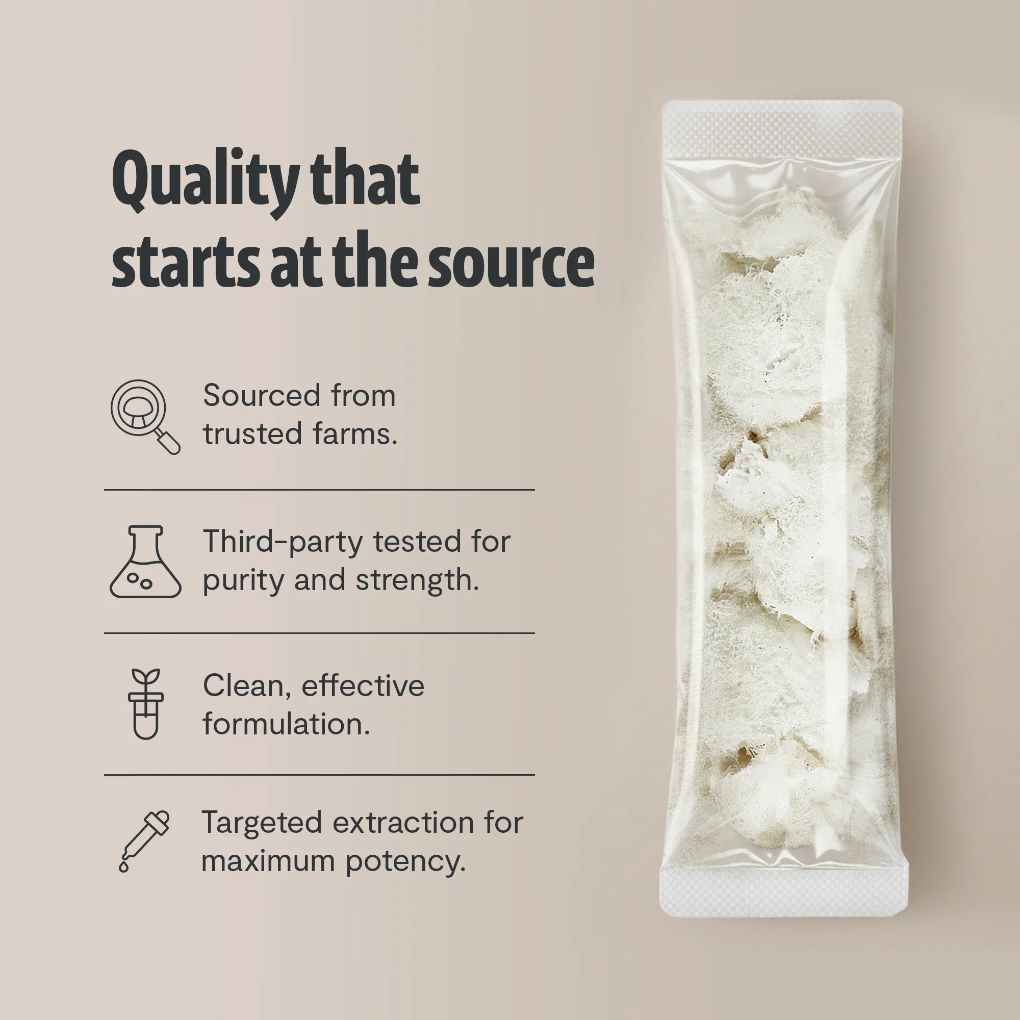 Organic Lion’s Mane Mushroom Powder - Image 13
