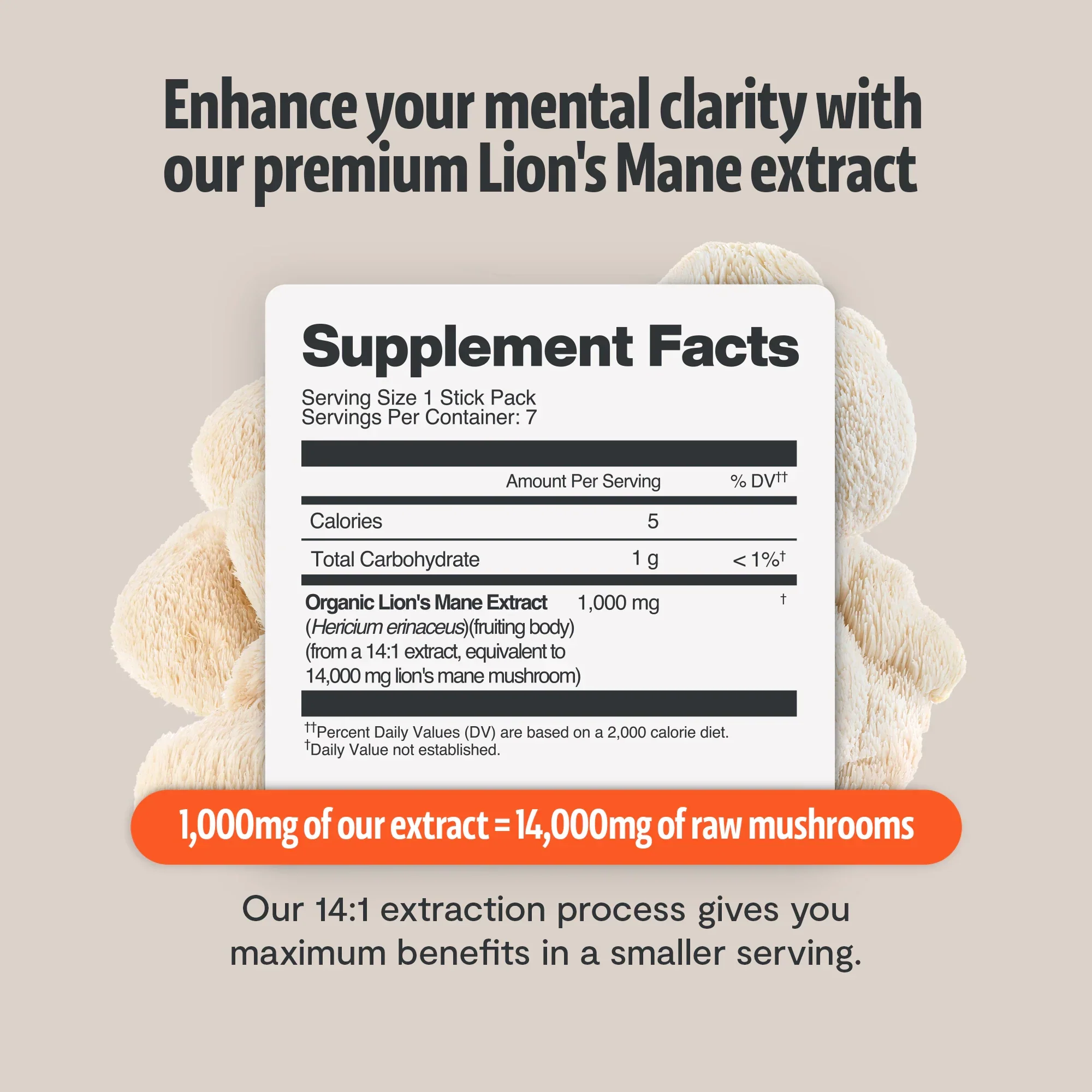 Organic Lion’s Mane Mushroom Powder - Image 14