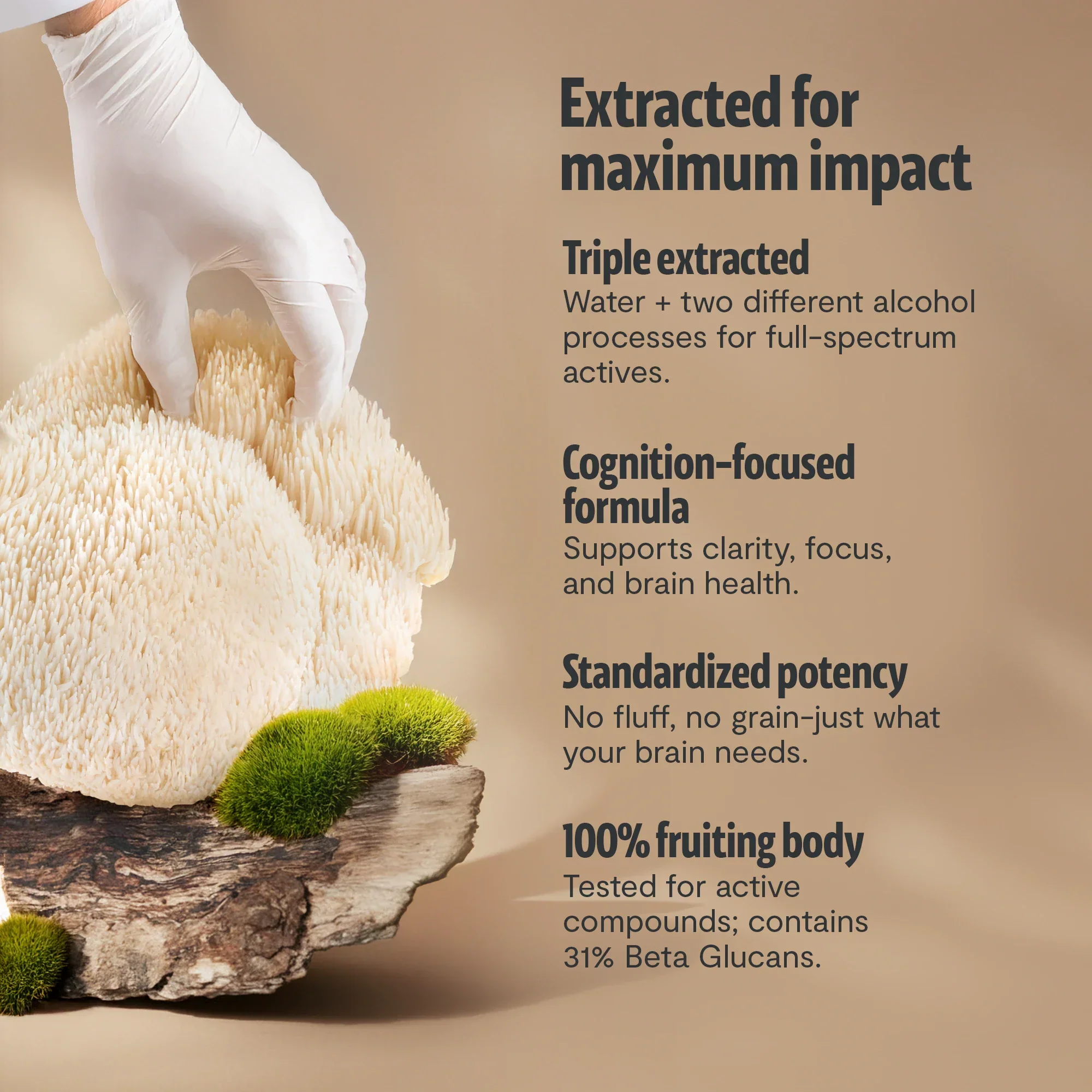 Organic Lion’s Mane Mushroom Powder - Image 17