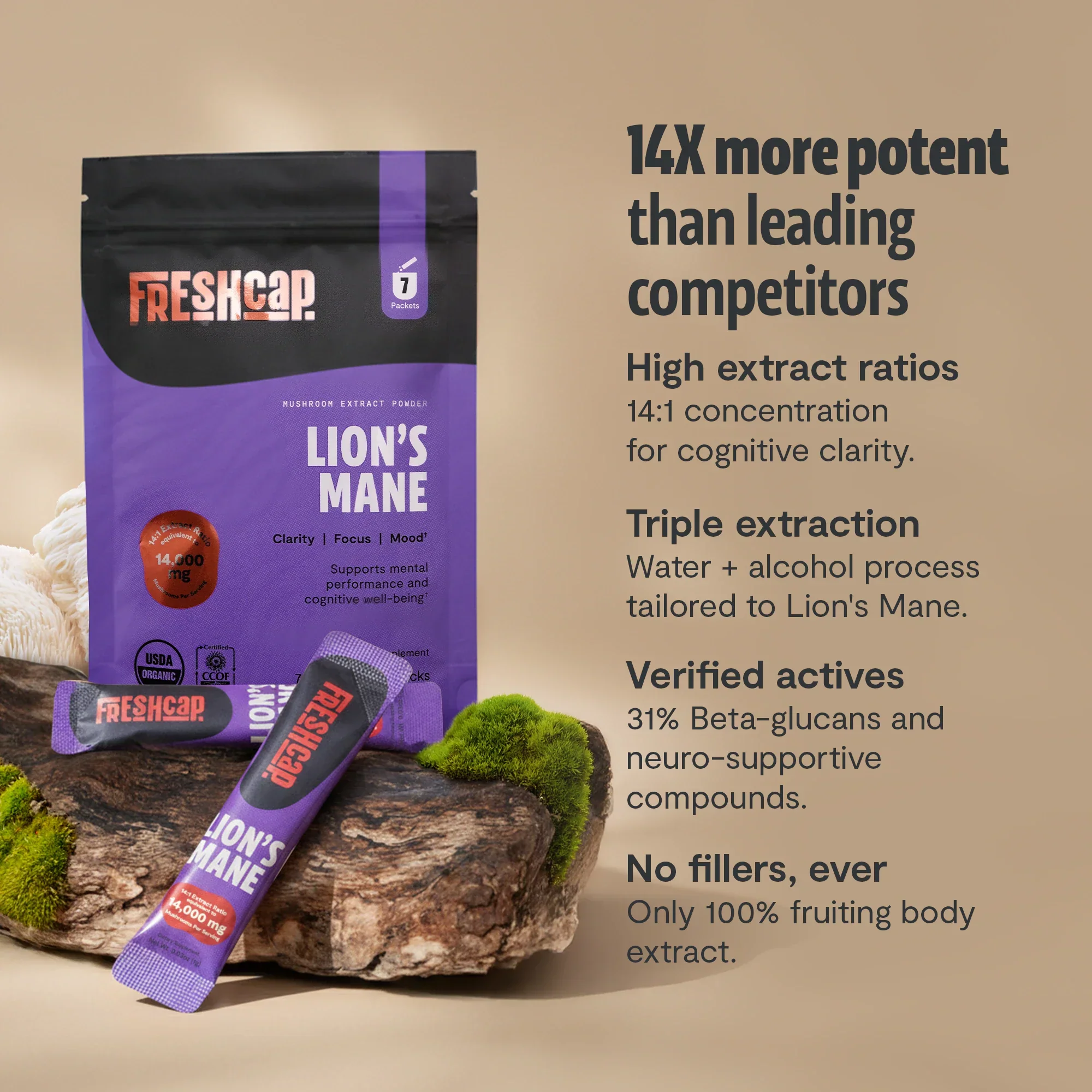 Organic Lion’s Mane Mushroom Powder - Image 18