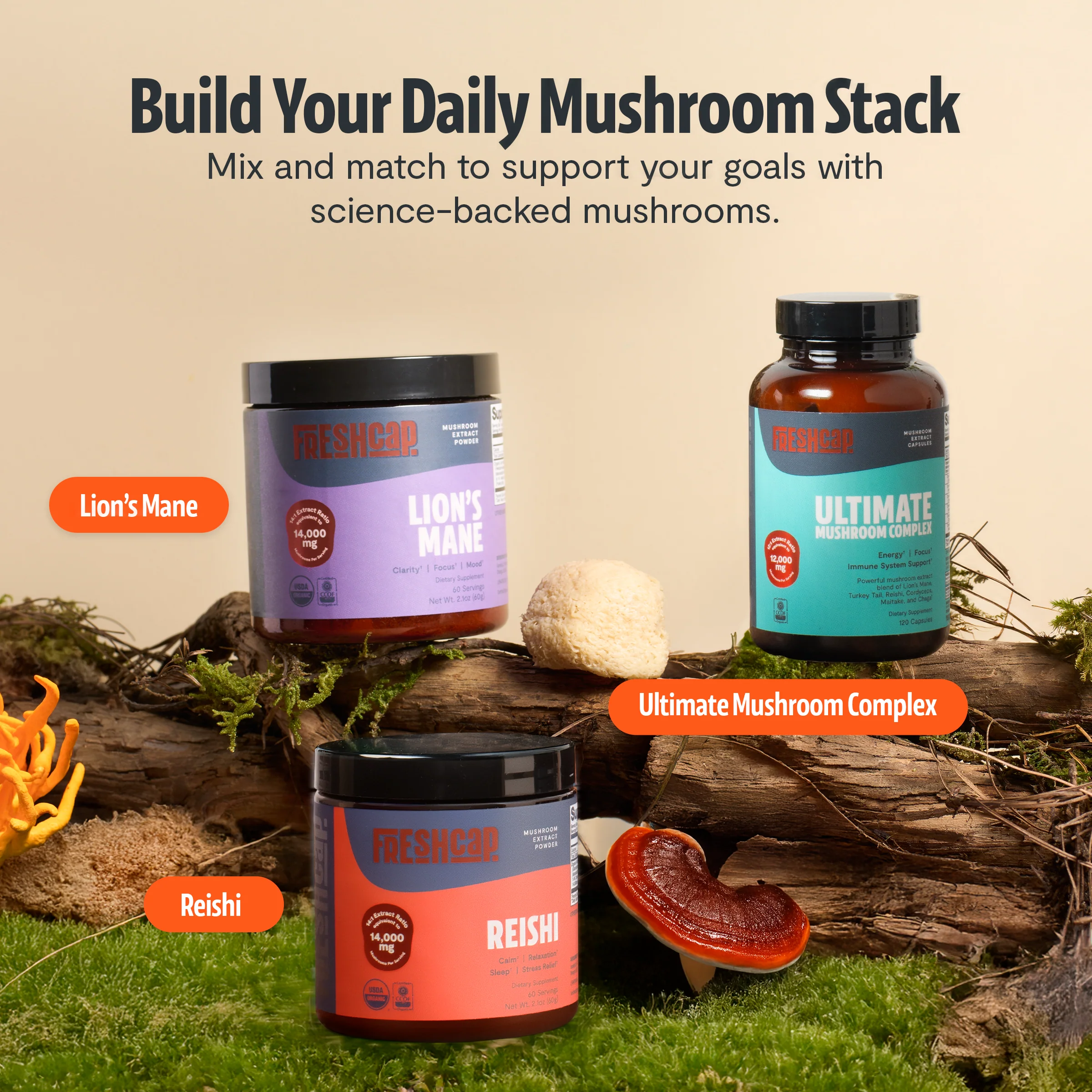 Organic Lion’s Mane Mushroom Powder - Image 36