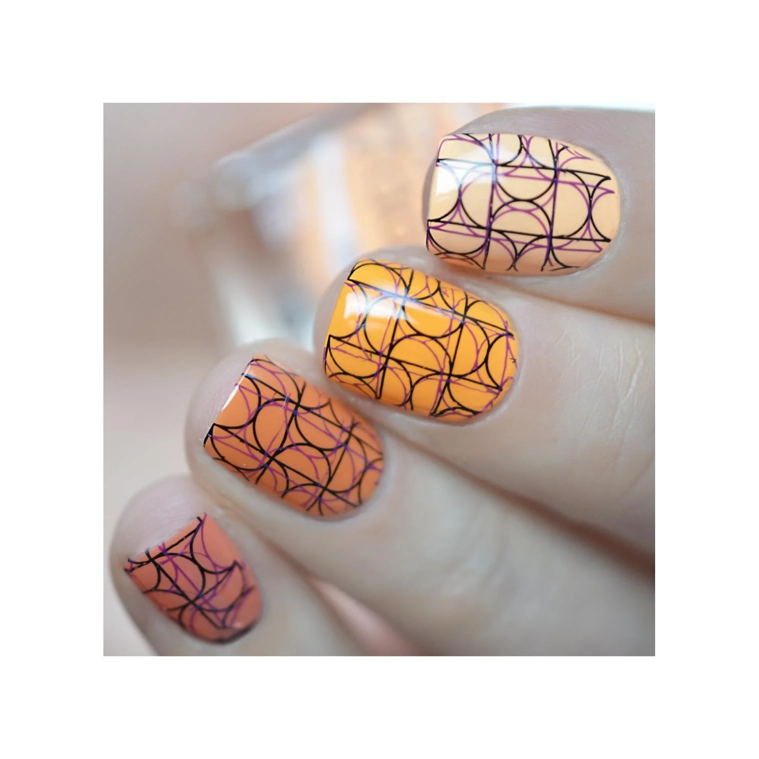 Luxe In Lines - Image 17