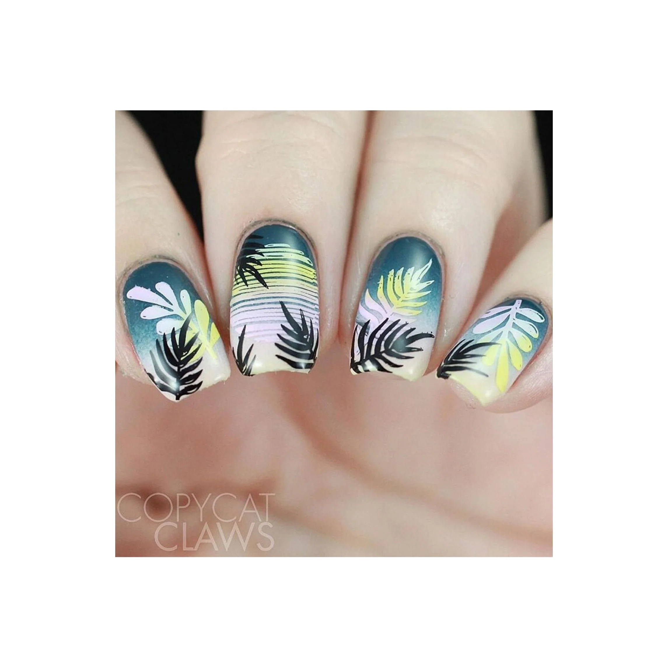 Modern Tropical - Image 10