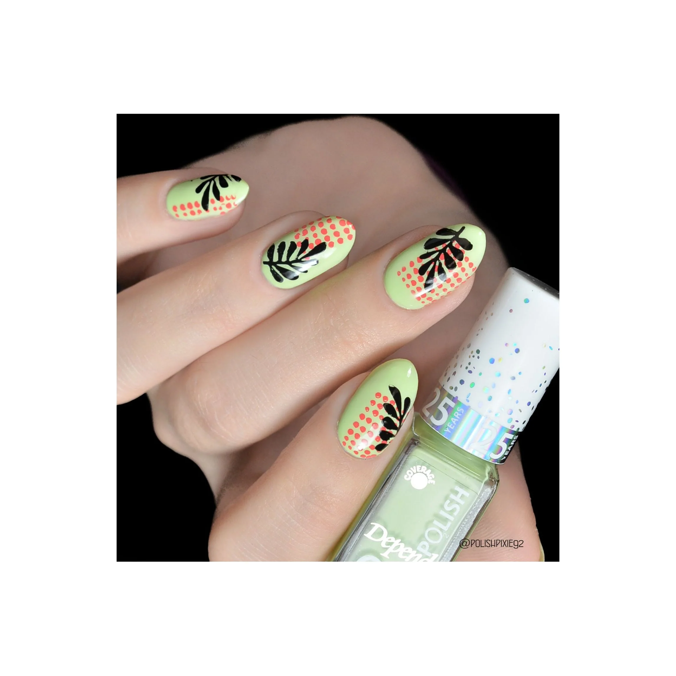 Modern Tropical - Image 4