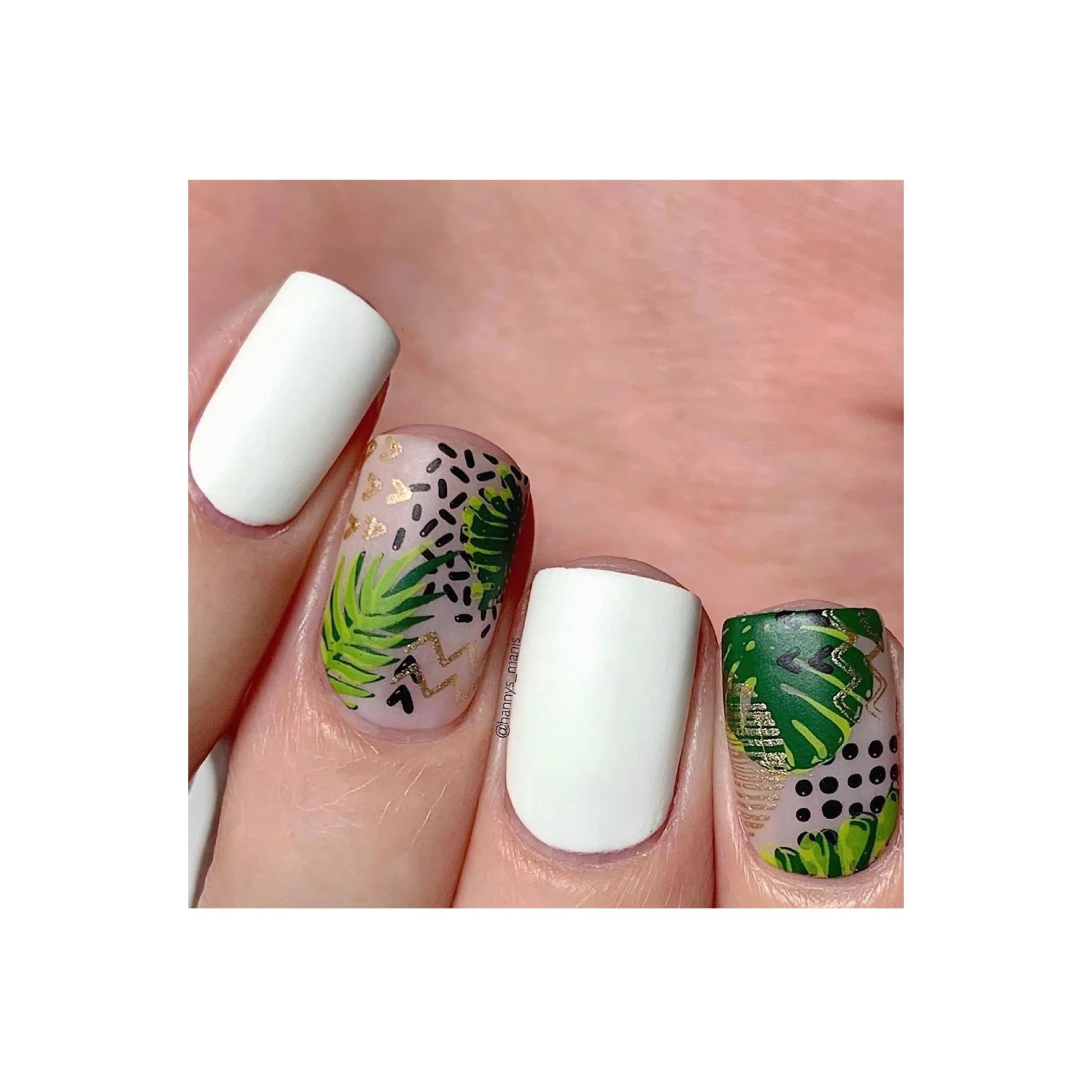 Modern Tropical - Image 9