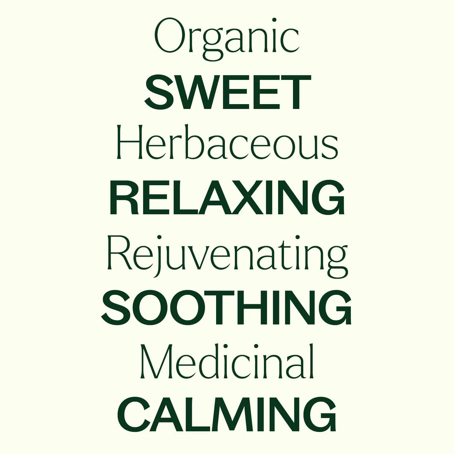 Organic German Chamomile Essential Oil - Image 5