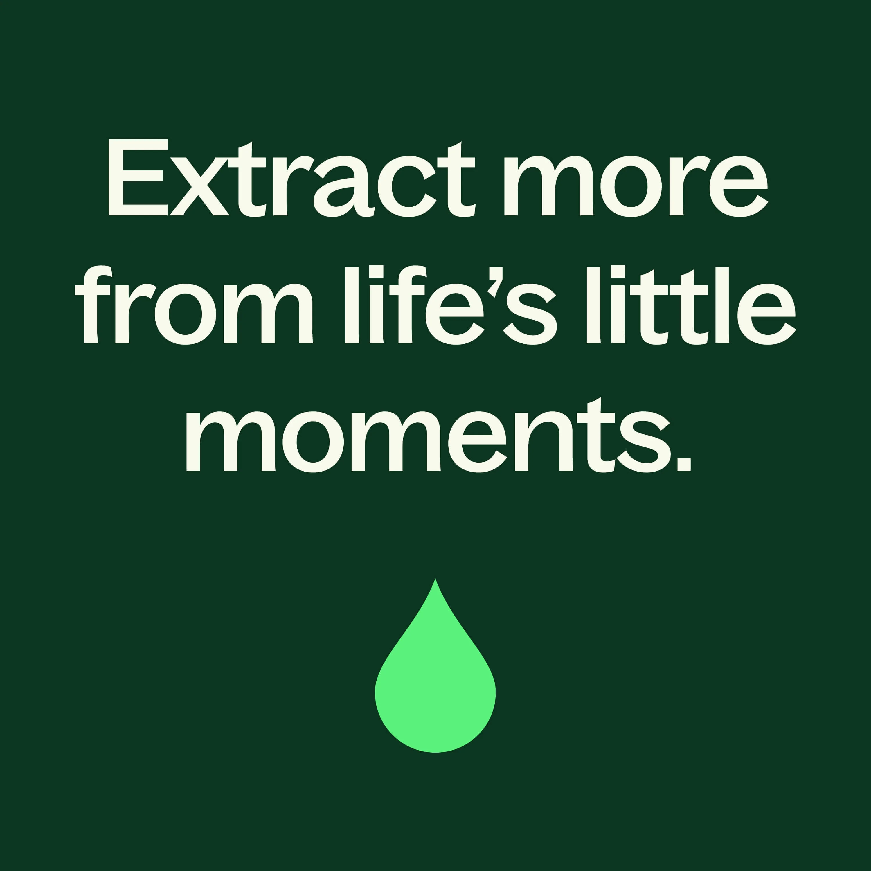 Organic Peppermint Essential Oil - Image 10