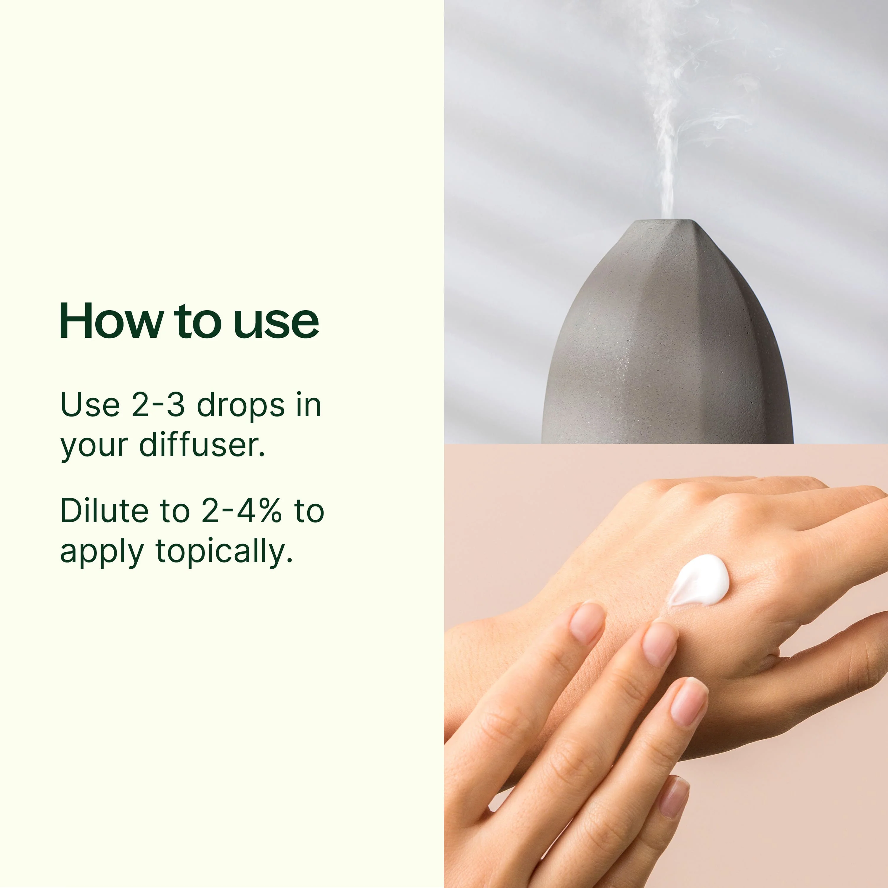 Organic Rosemary 1,8-Cineole Essential Oil - Image 13