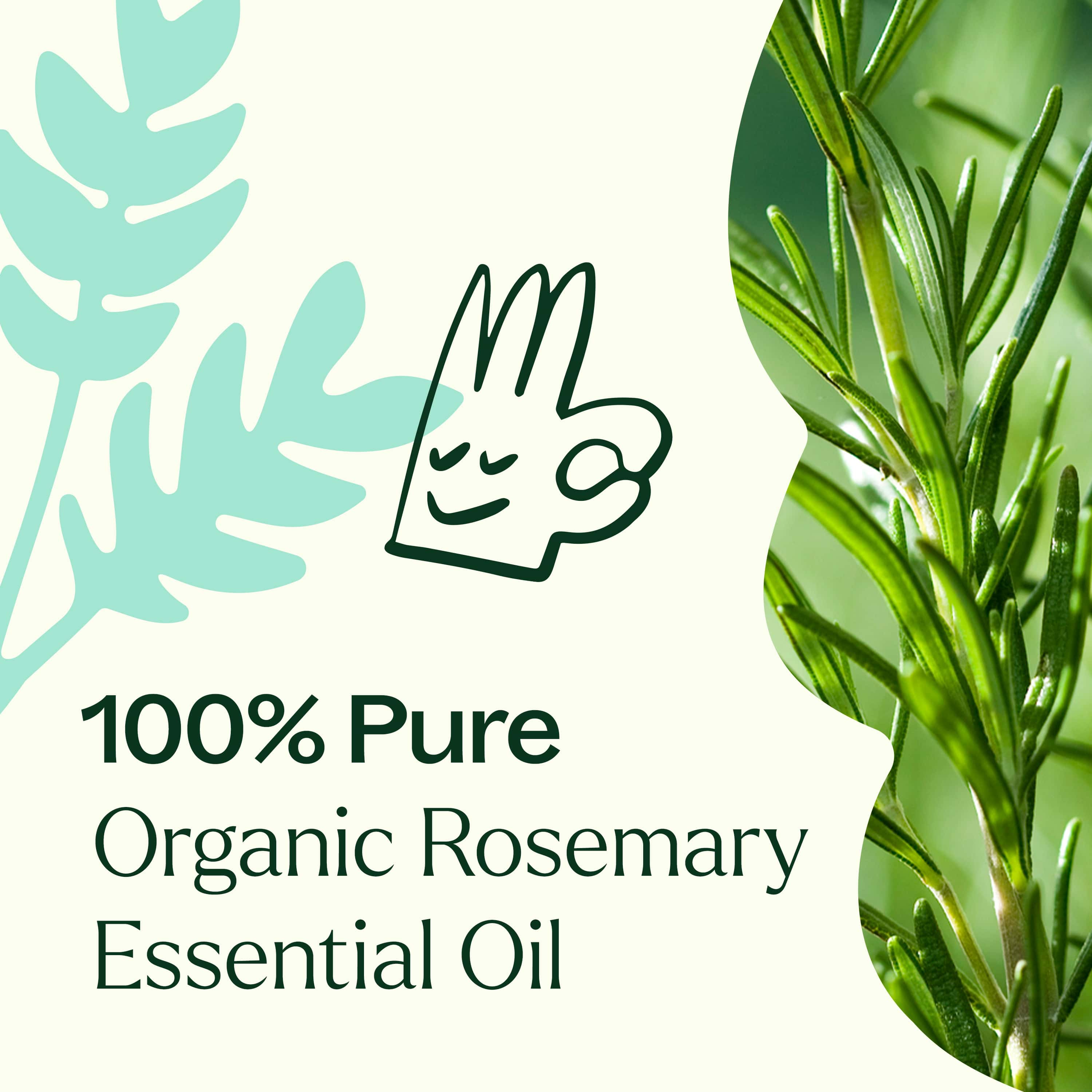 Organic Rosemary 1,8-Cineole Essential Oil - Image 6
