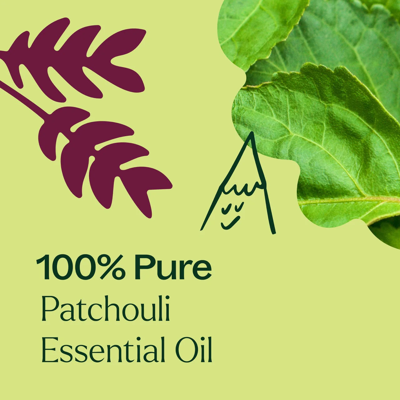 Patchouli Essential Oil - Image 6
