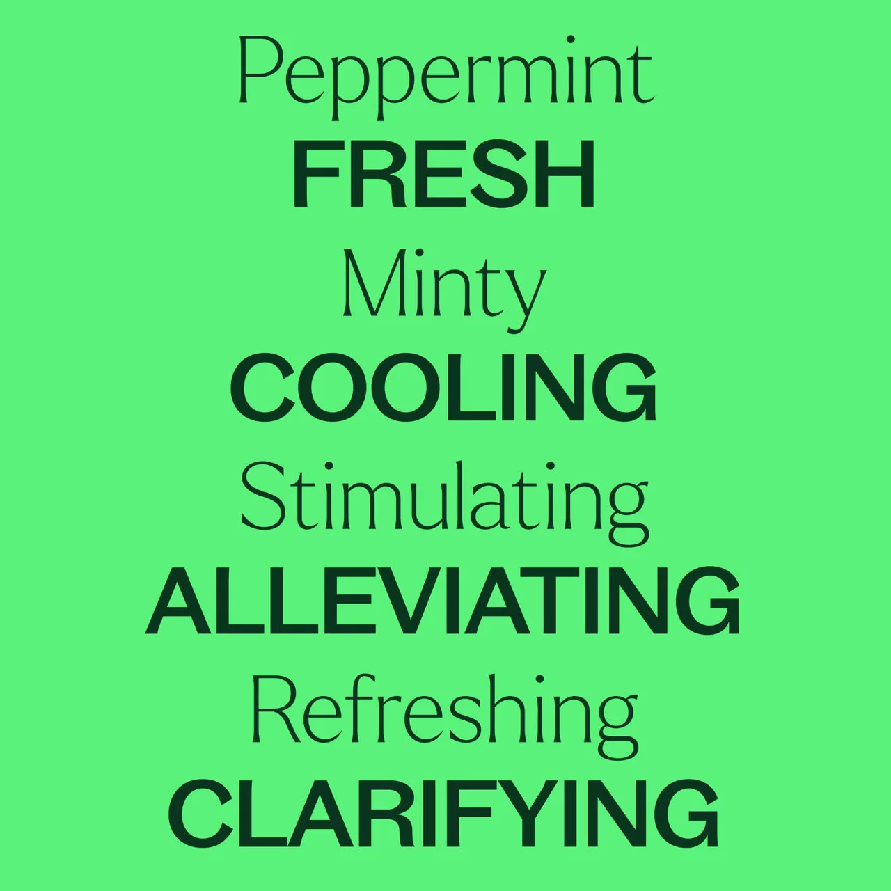 Peppermint Essential Oil - Image 5